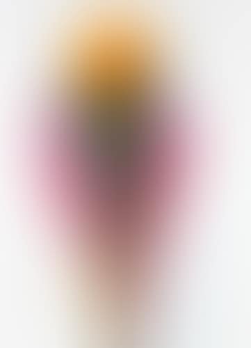 Composition (preview)