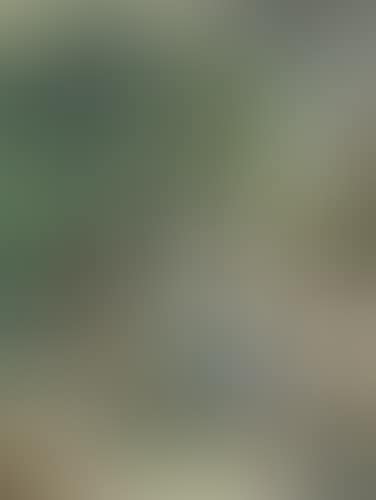 Paysage (preview)