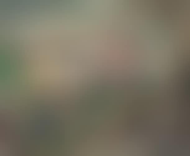 Vue de Paris (preview)