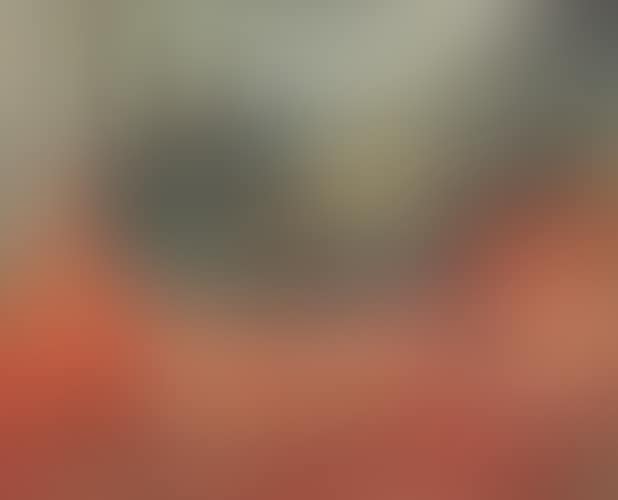 Nature morte au faisan (preview)