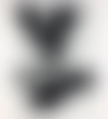 IN THE NORTHERN PROVINCES (preview)