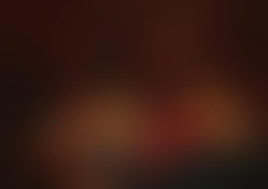 Nature morte au homard (preview)