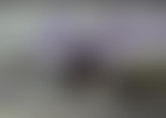 Navires (preview)
