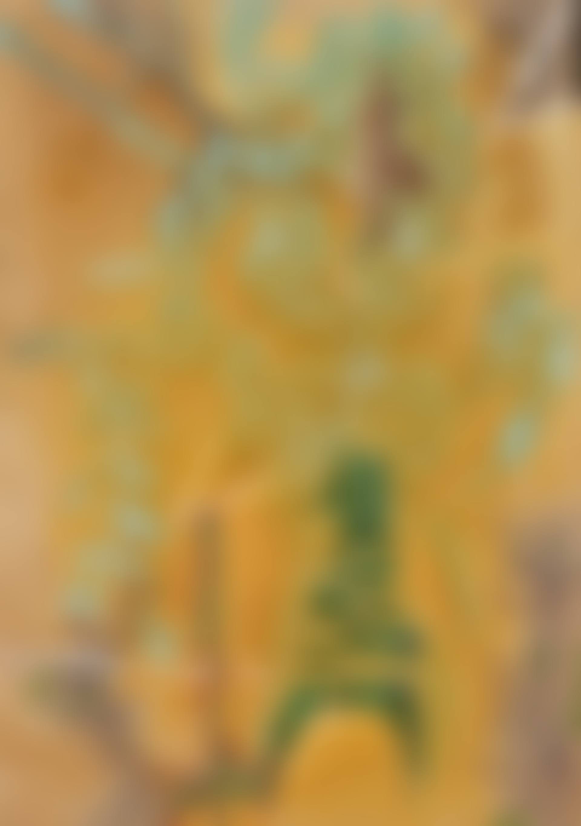 Le Shaman (preview)