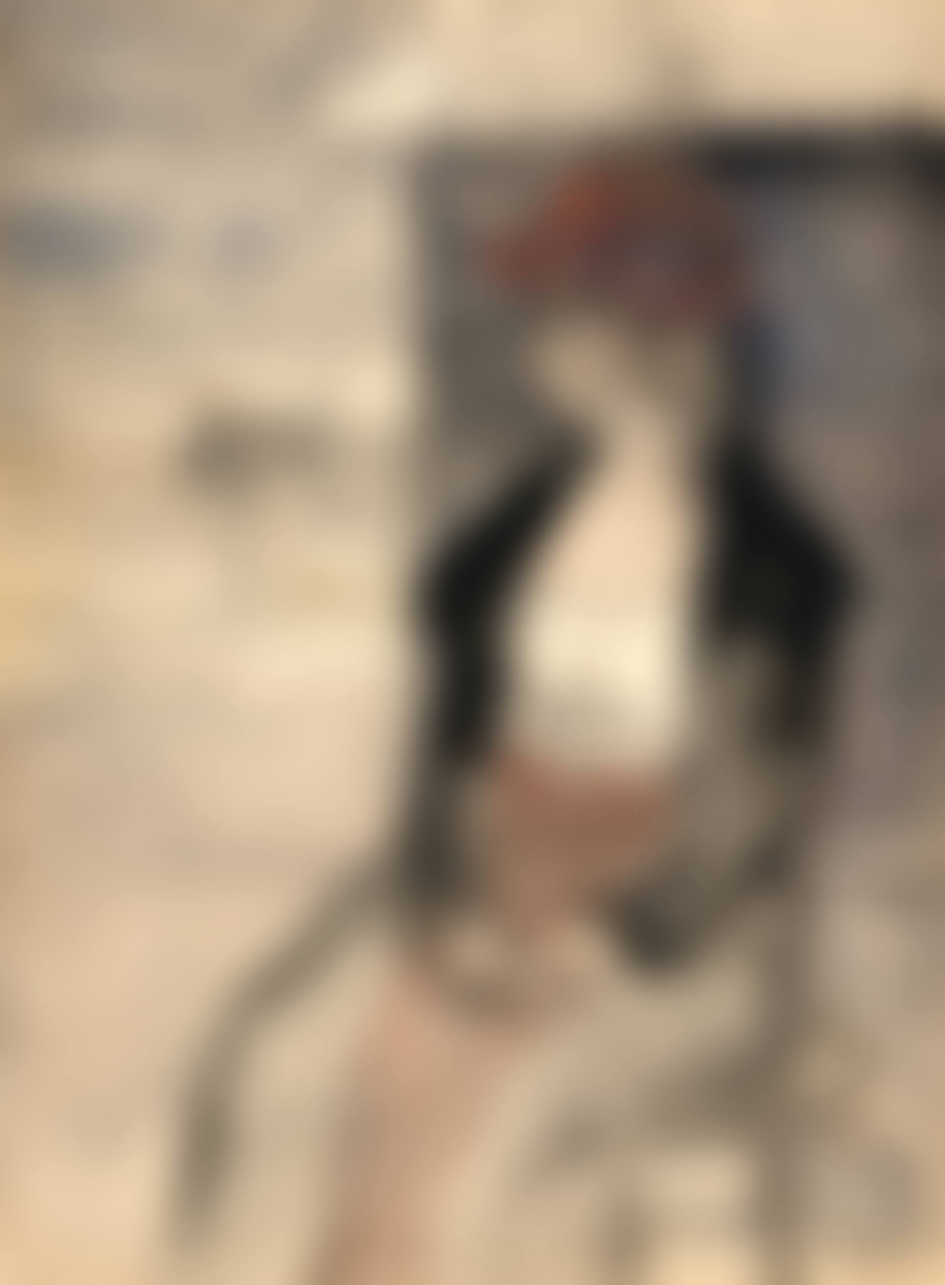 Femme au châle, assise (preview)