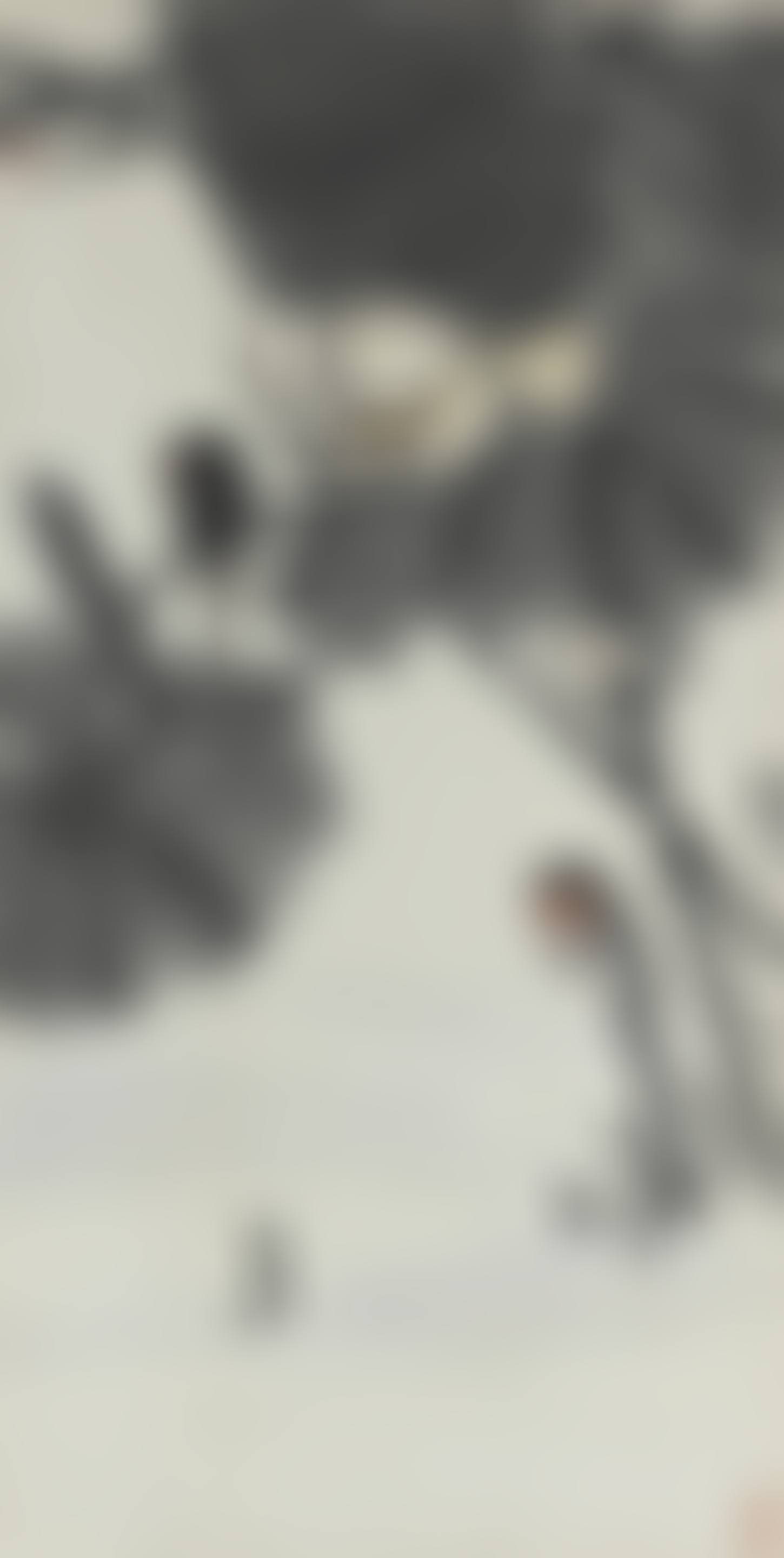 Lotus and Birds (preview)