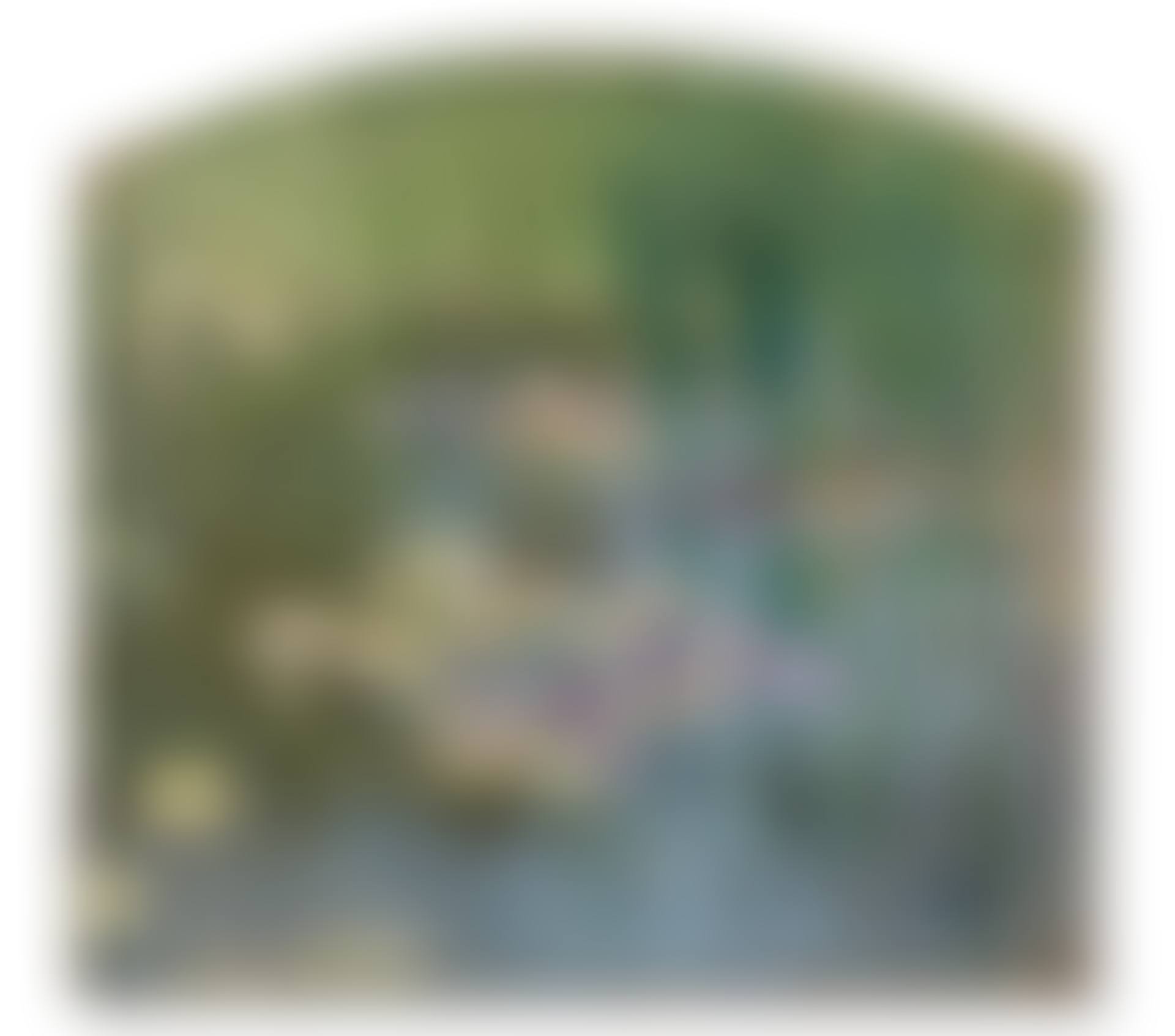 Nymphéas (preview)