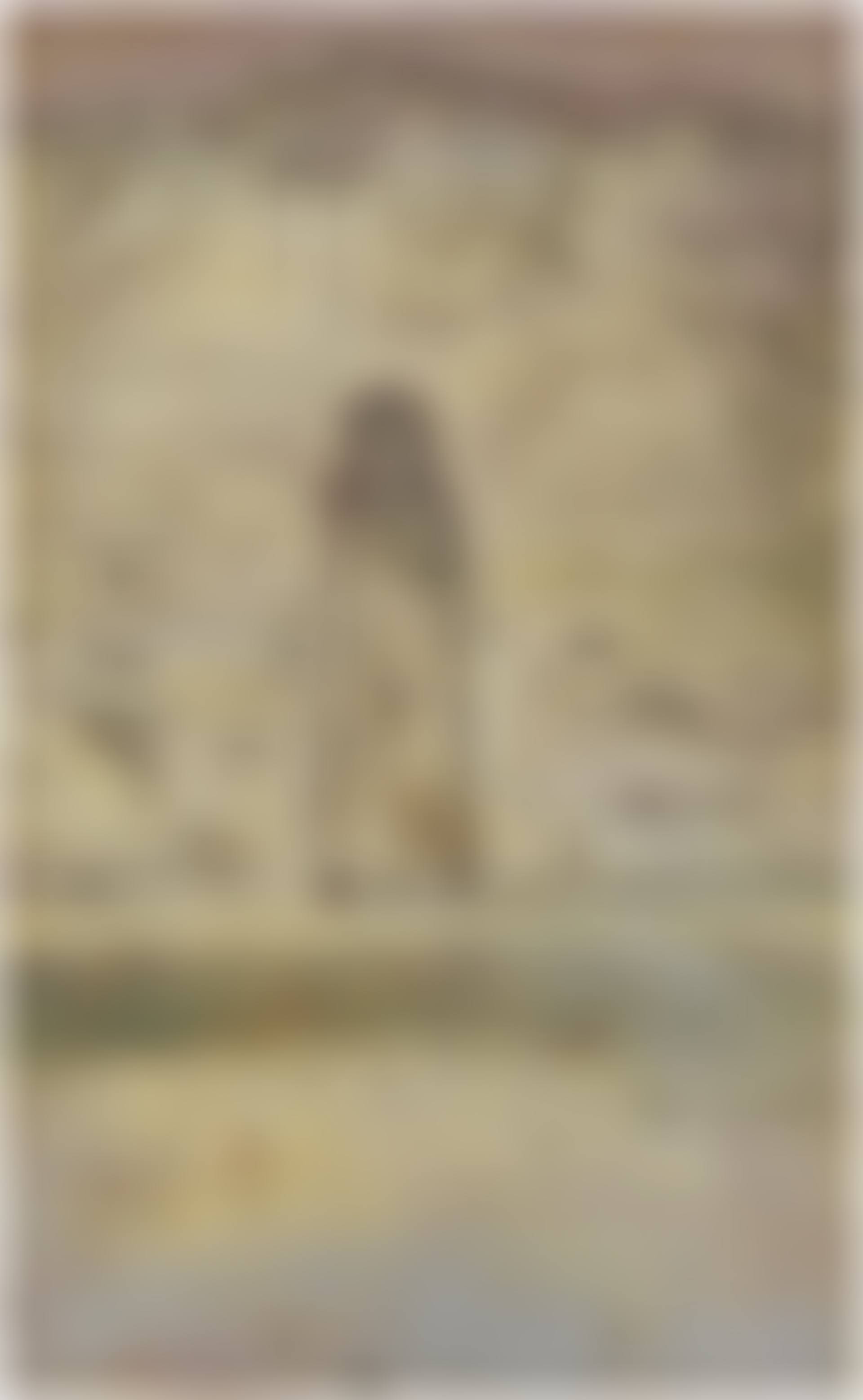 Vor der Zeit (Bamian) (Before Time (Bamian)) (preview)