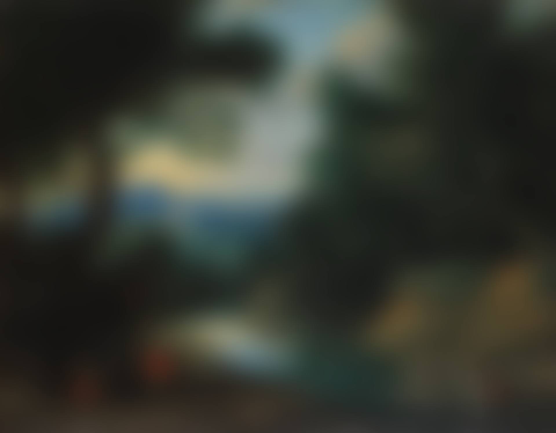 Circle of Jacques d'Arthois (Brussels 1613-1686) (preview)