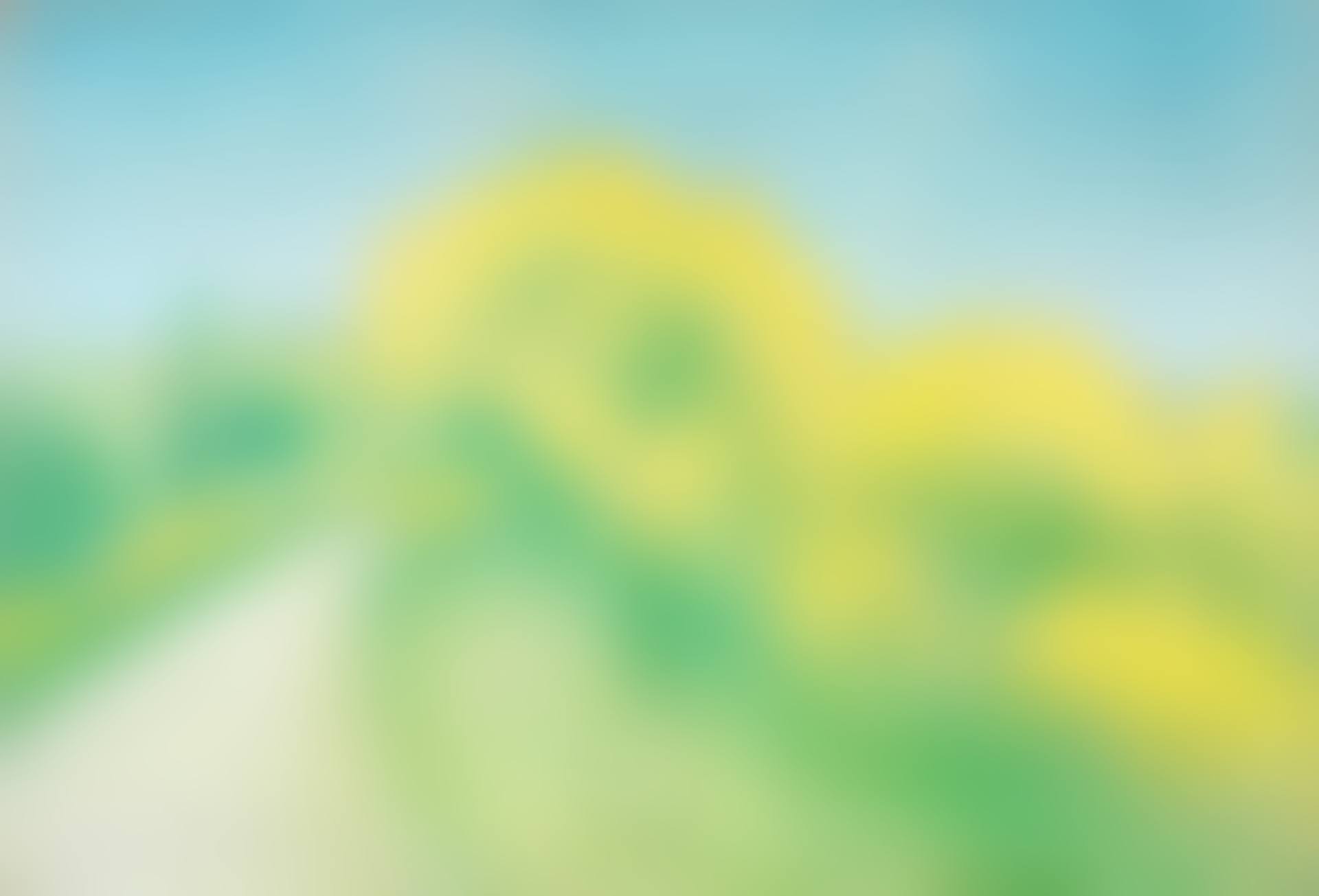 Route en été (preview)
