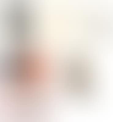 Portfolio of Works * (preview)