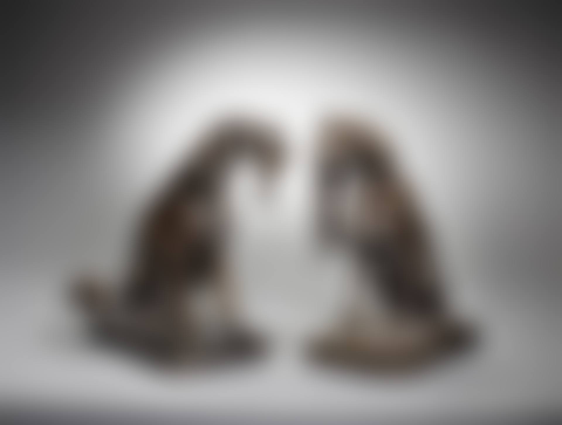 Pointer and Setter with Game (preview)