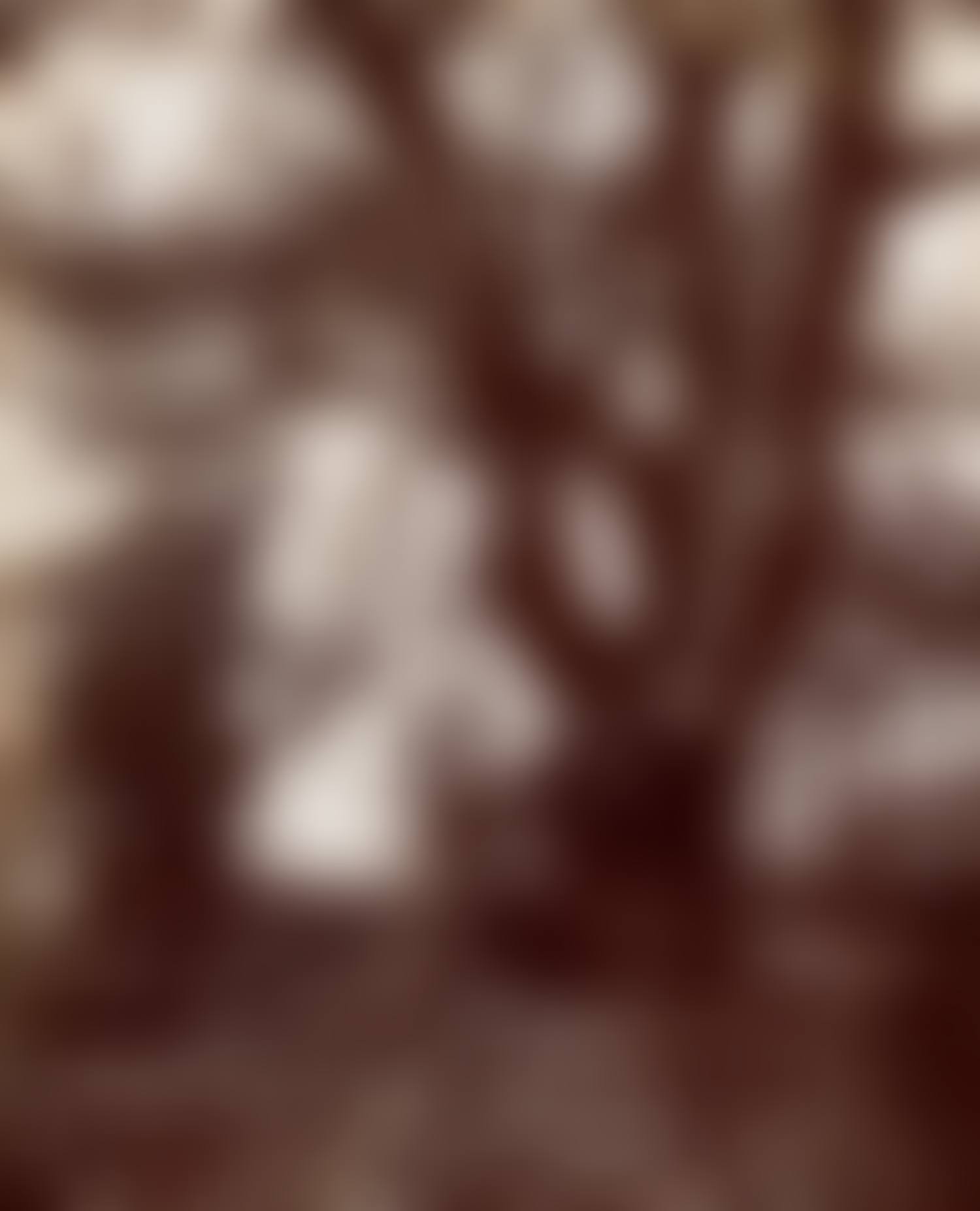 Châtaigniers (Chestnut Trees) (preview)