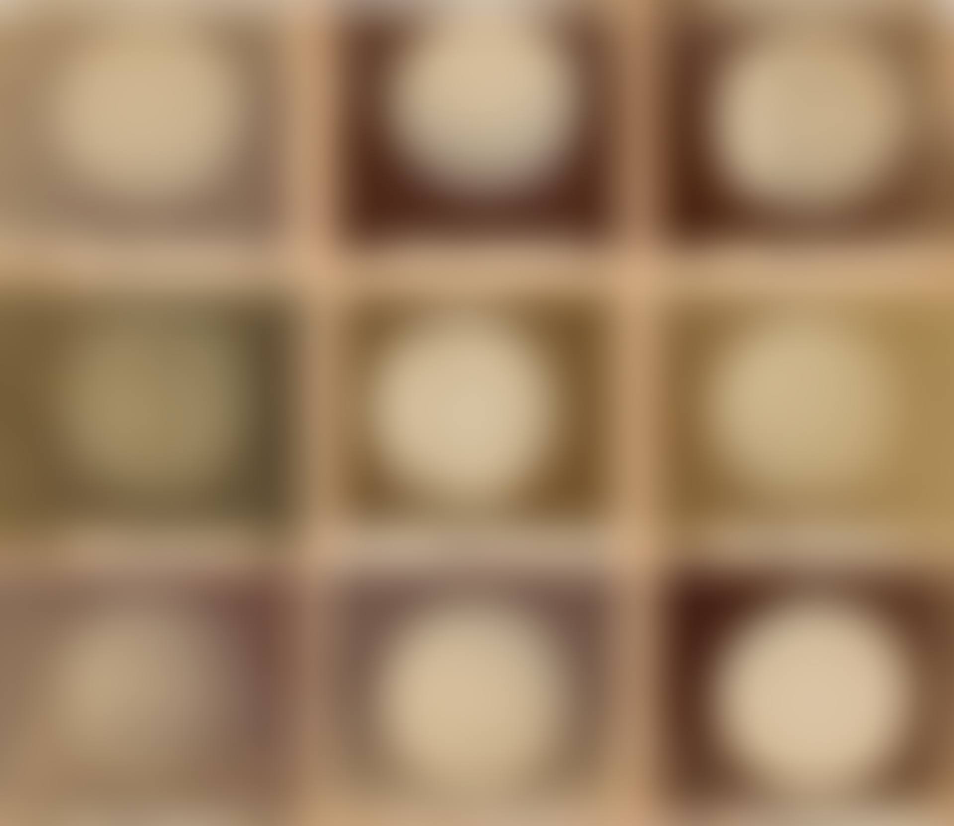 Spectroheliograms in the H line of Ca + (preview)