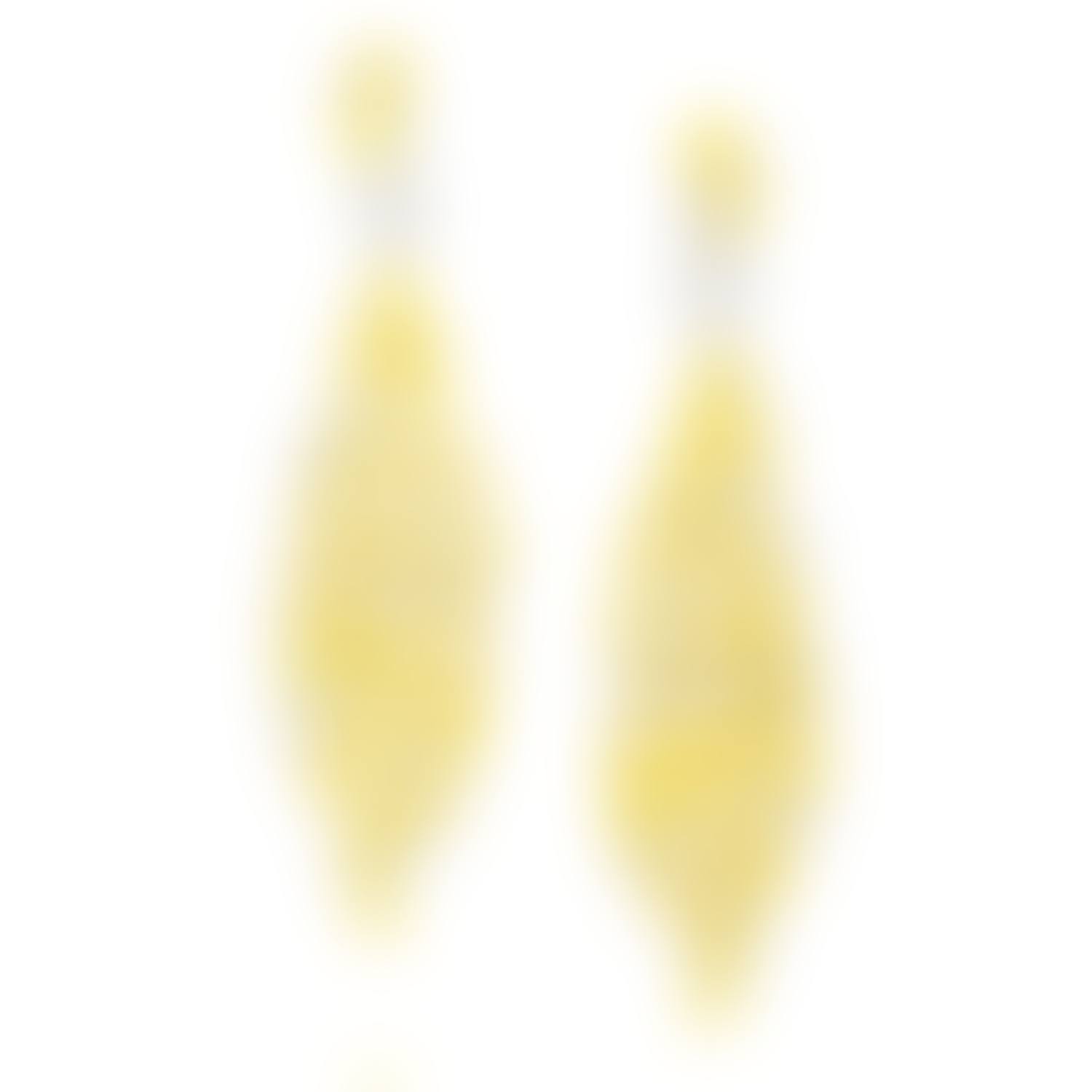 A Pair of Coloured Diamond and Diamond Earrings (preview)