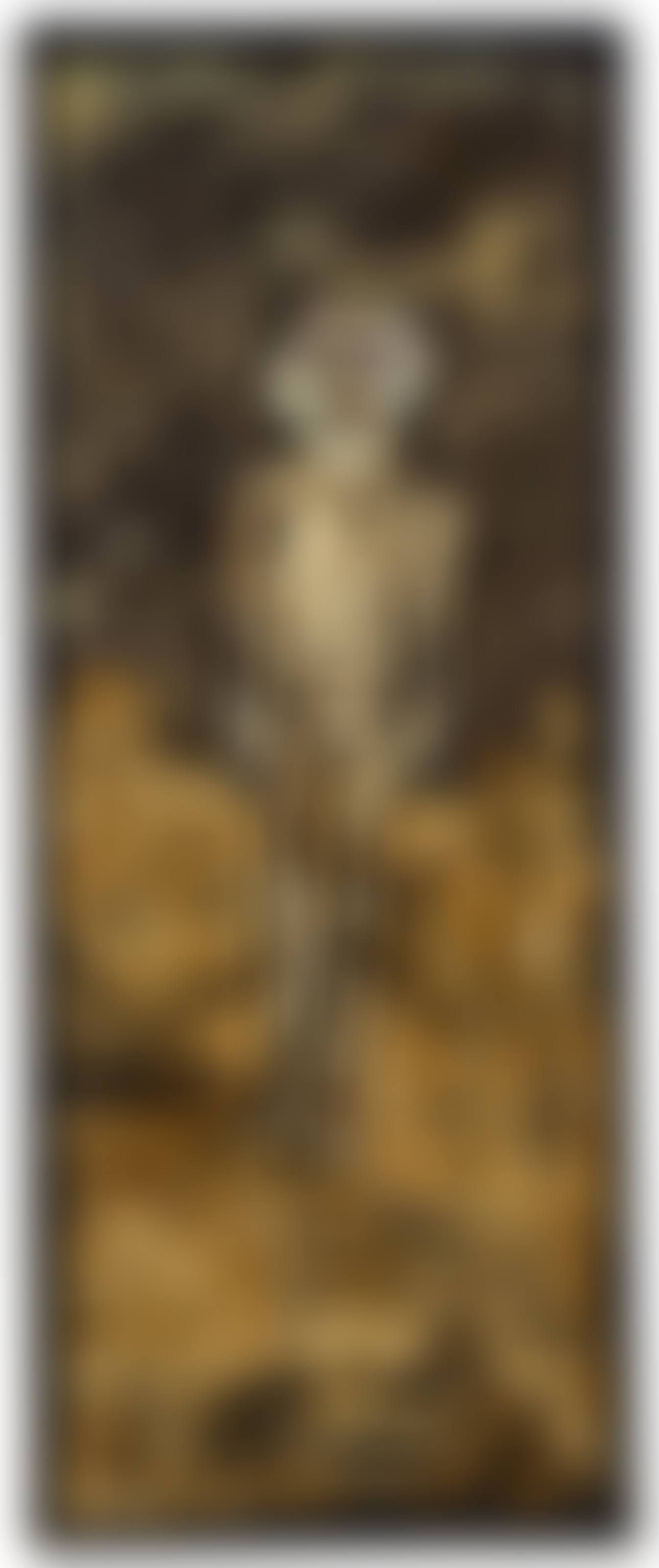Le Dévêtu (preview)