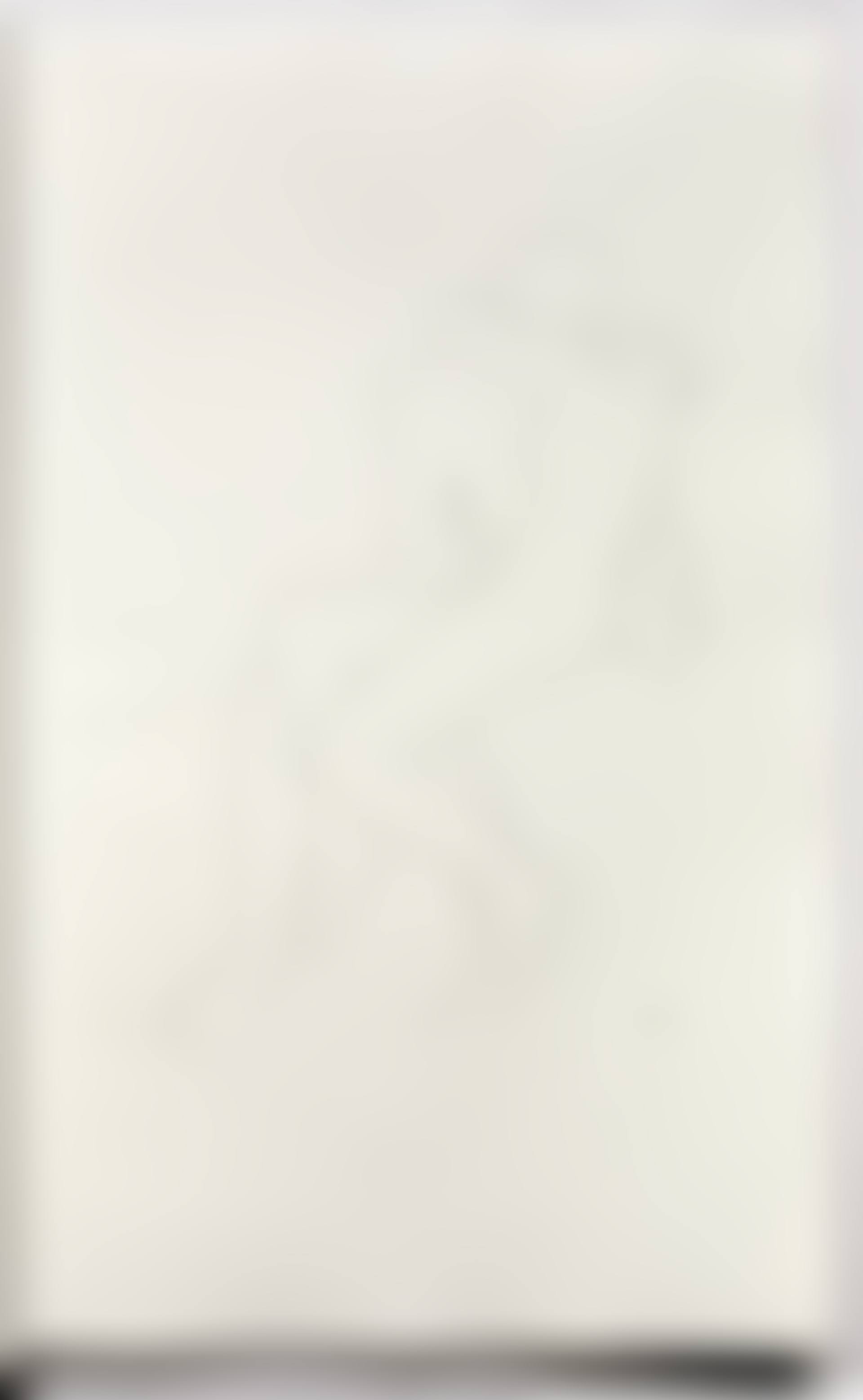 The Large Glass and related works. Volume two. With nine original etchings by Marcel Duchamp on the theme of the lovers. Milan : Schwarz Gallery, [1968] (preview)