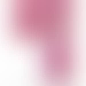 1. An Homage to Monopink 1960 B／2. An Homage to Monopink 1960 C／3. An Homage to Monopink 1960 D (preview)