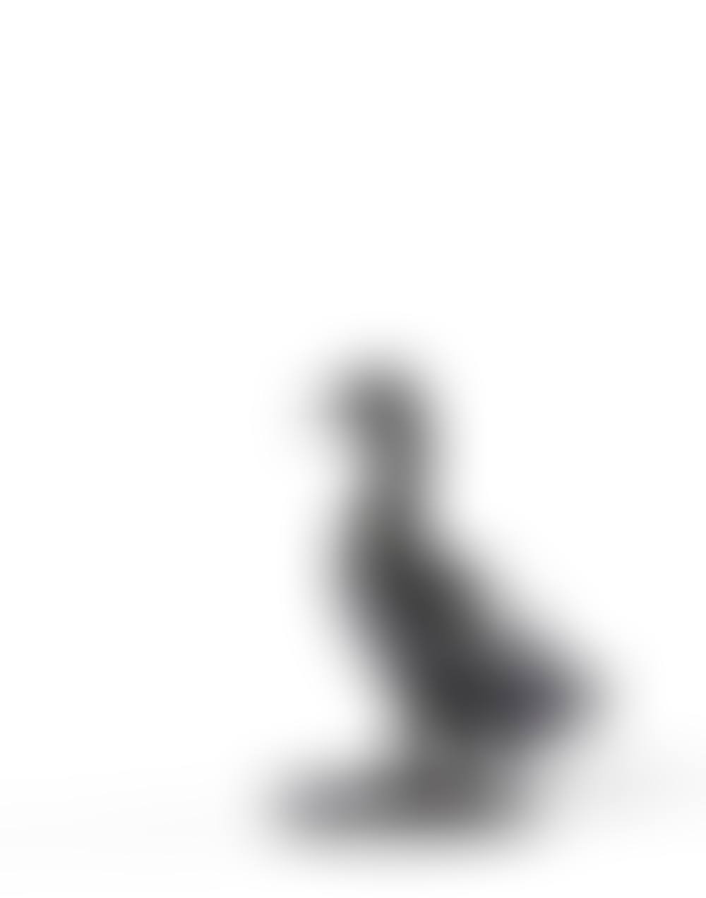 Canard (preview)