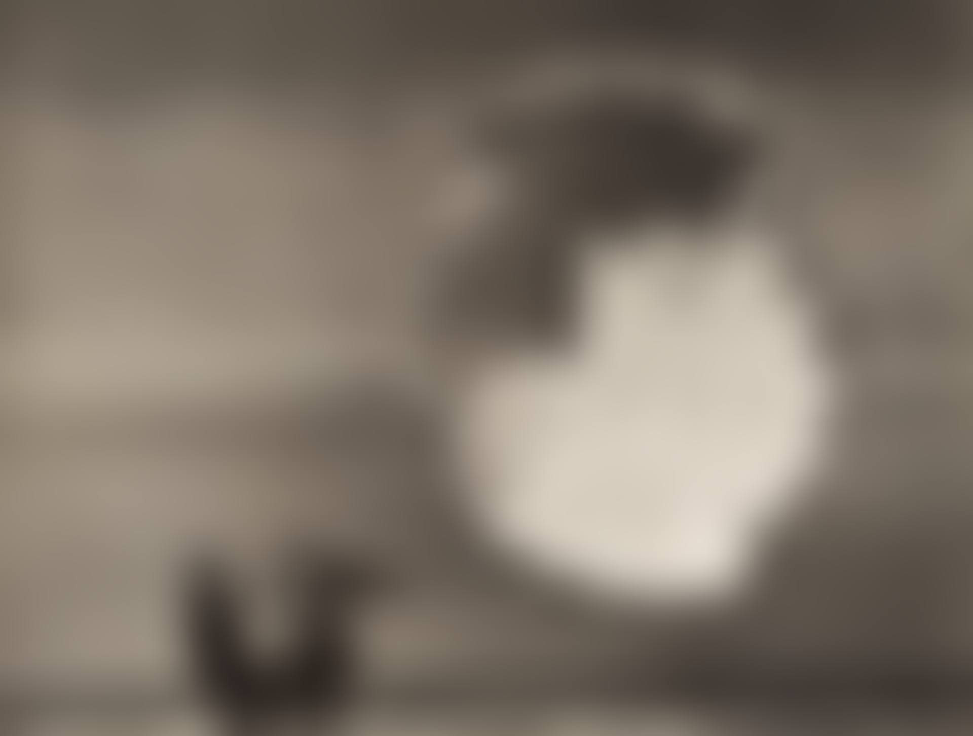 Parachute (preview)