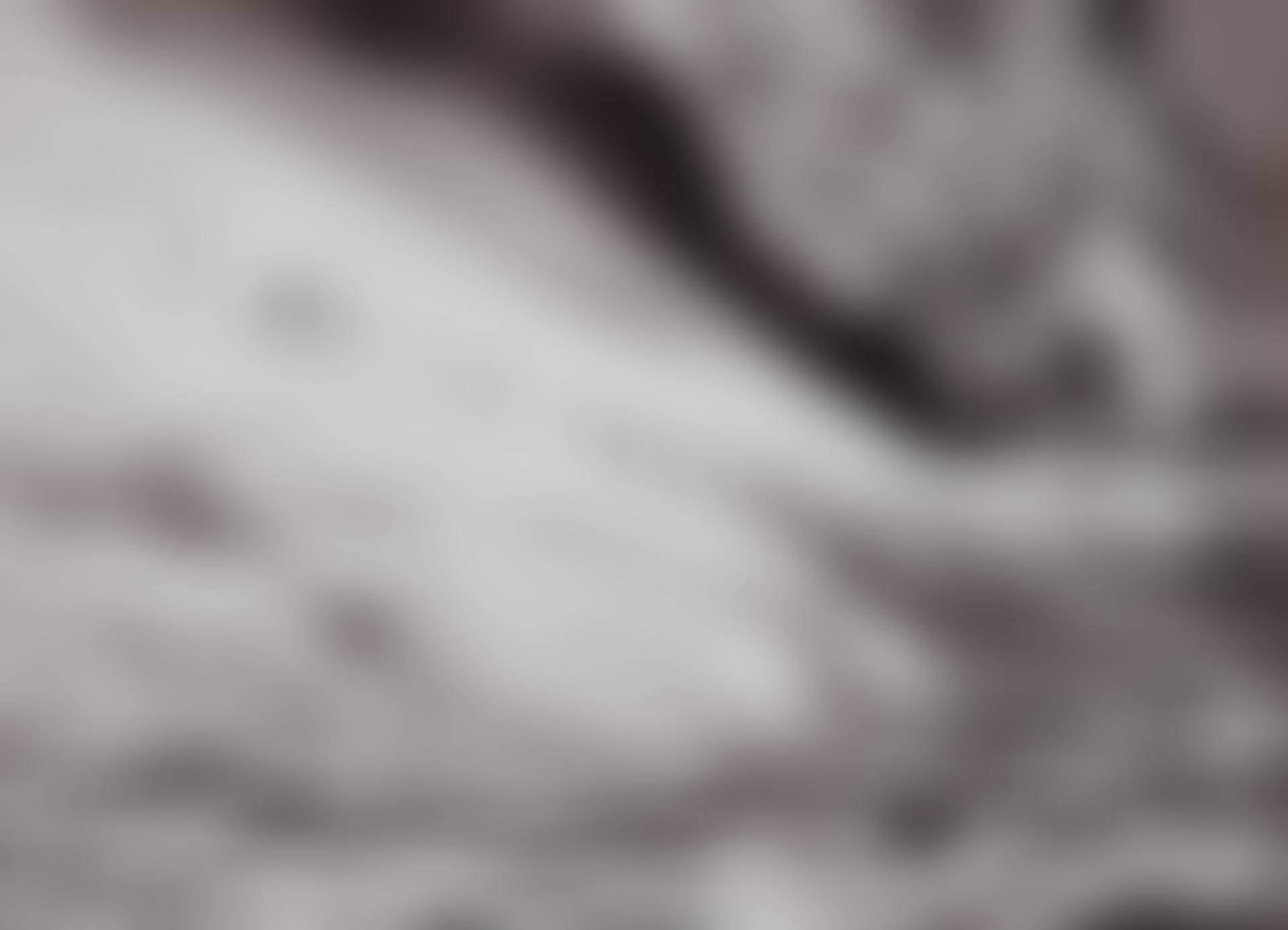 Chinstrap Penguins, South Sandwich Islands (preview)