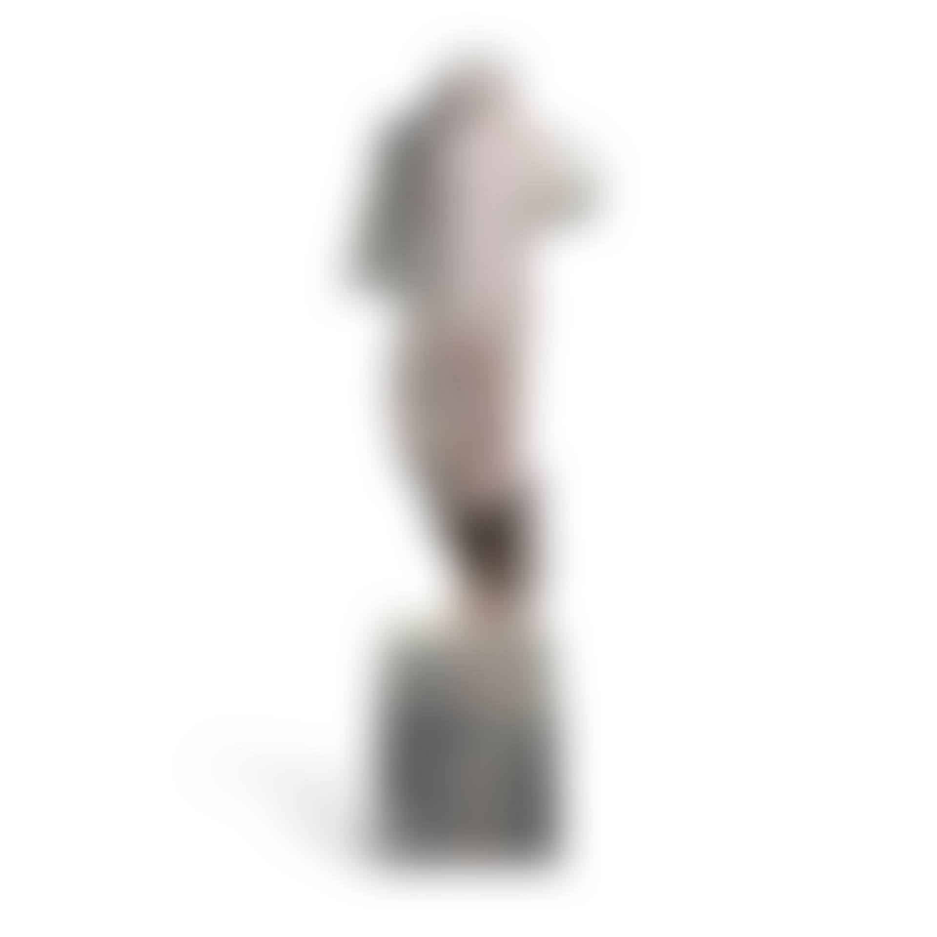 Torso with Springing Hip  (preview)