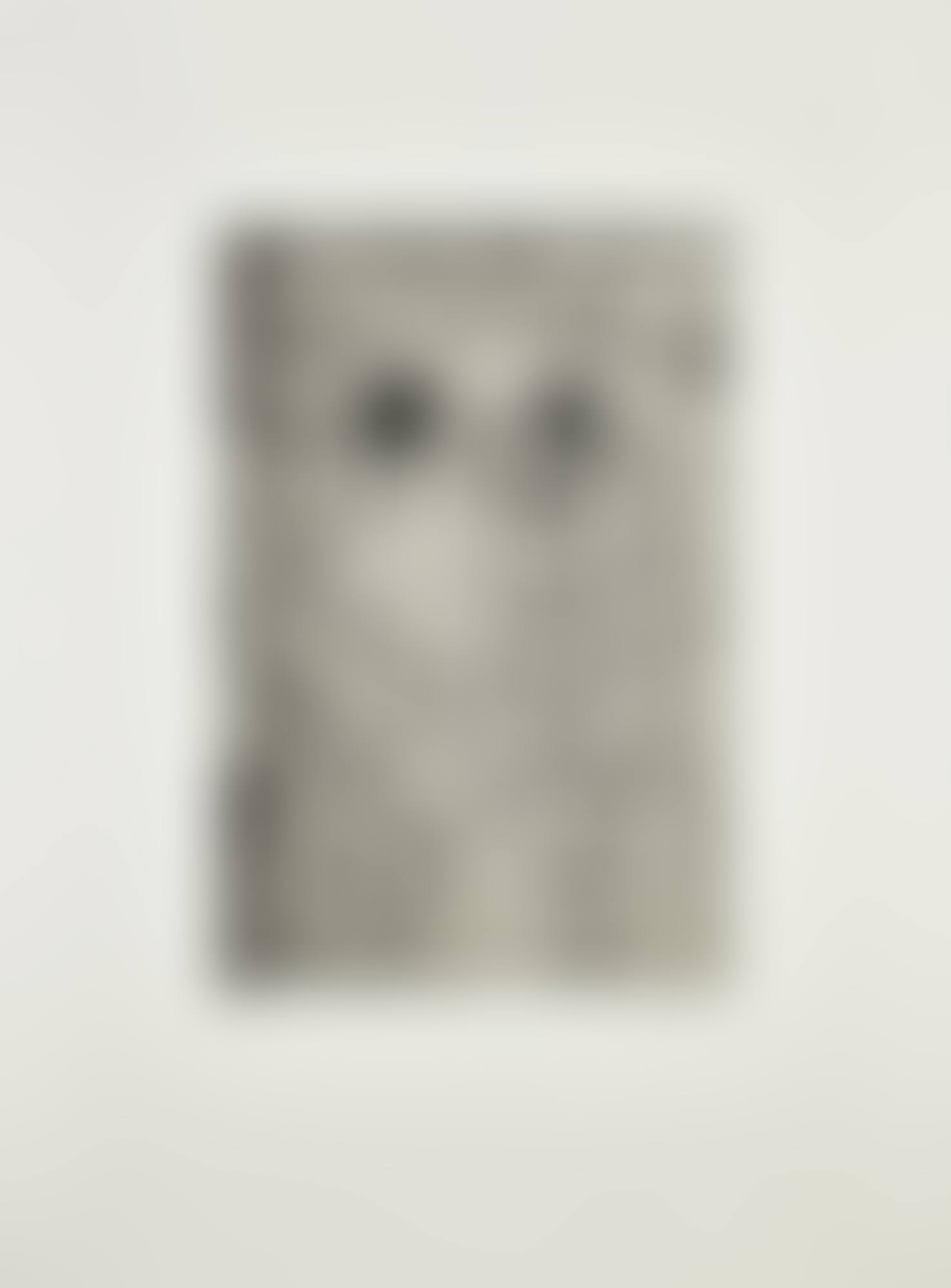 Untitled (from The Geldzahler Portfolio) (Gemini 1744) (preview)