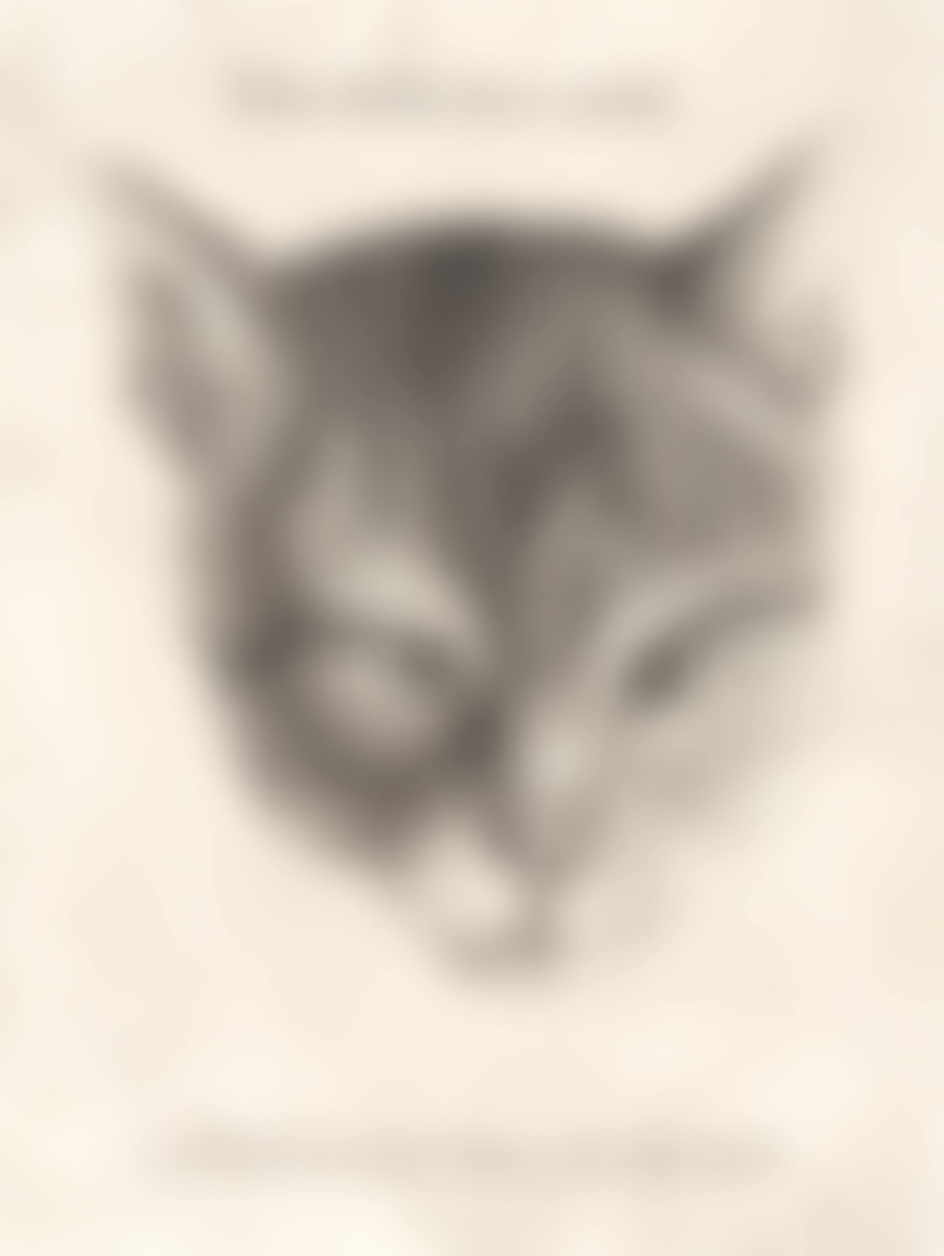 Head of a Cat (preview)