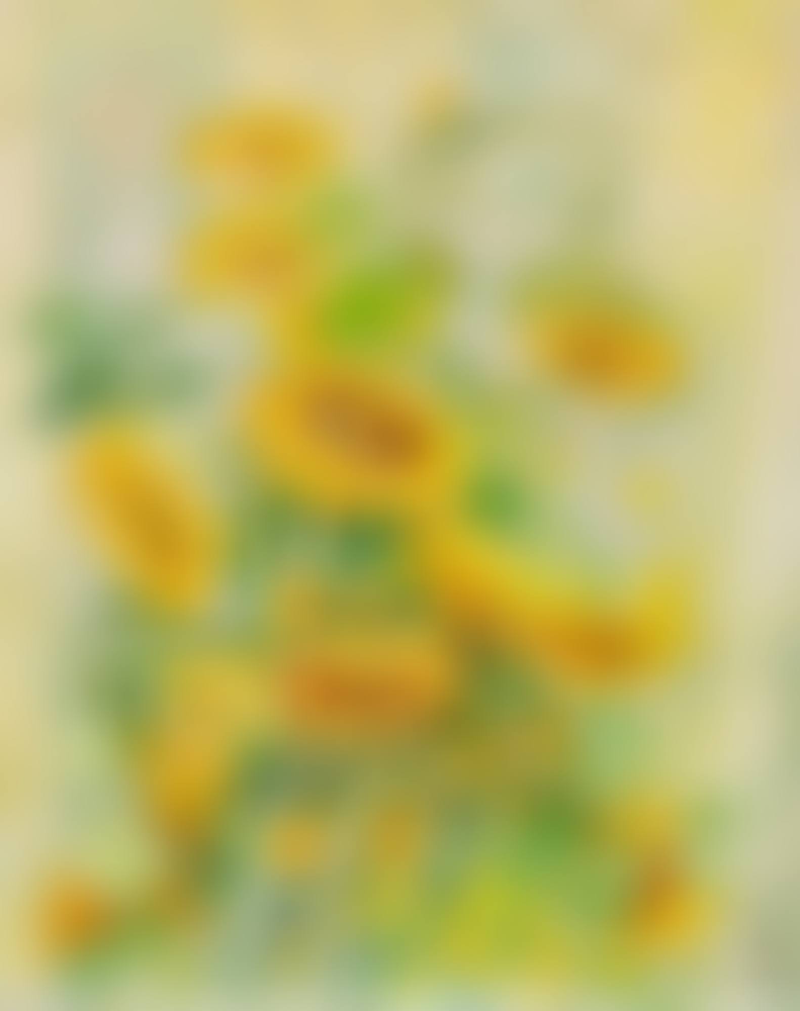 Fleurs  (preview)
