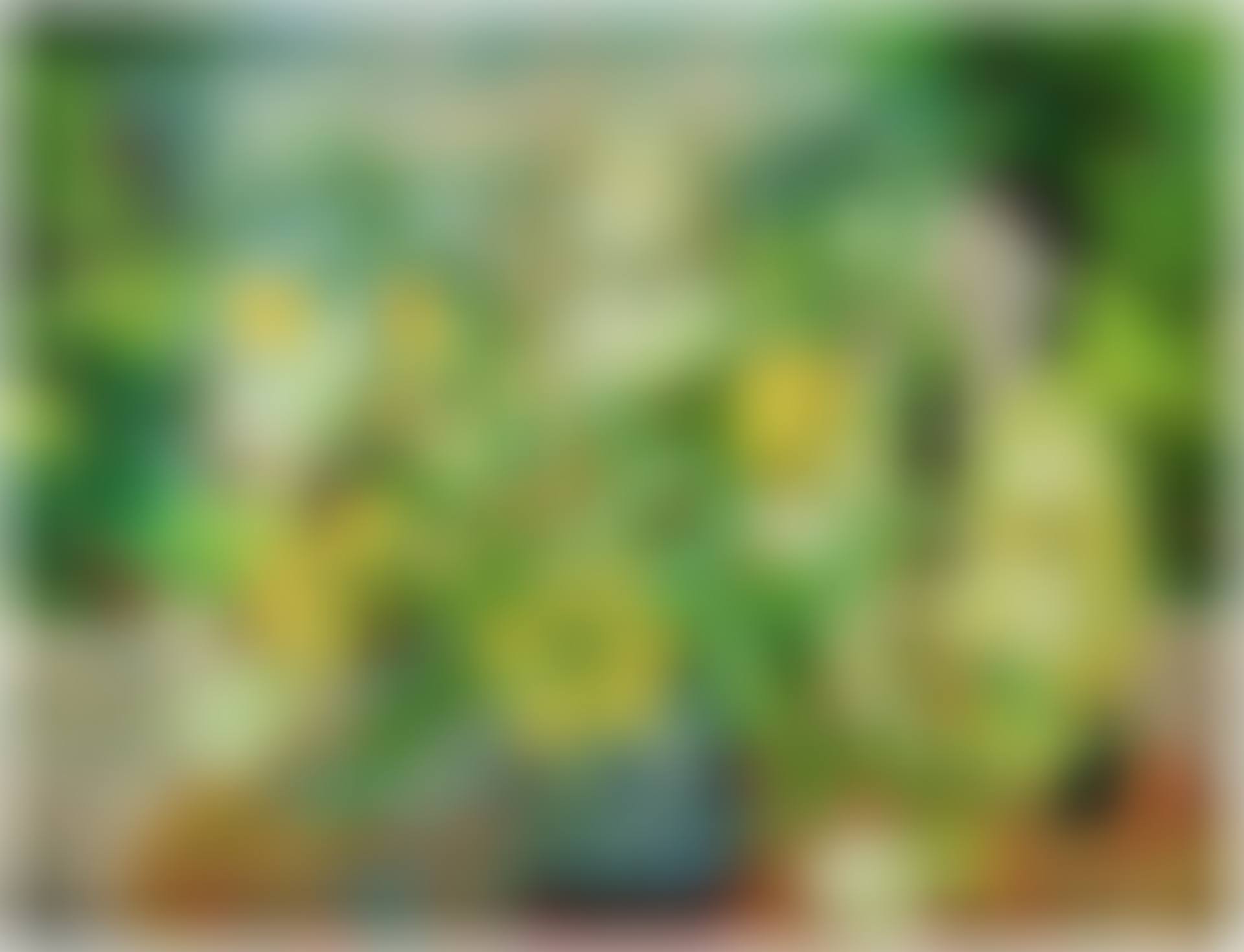 Arranging flowers  (preview)
