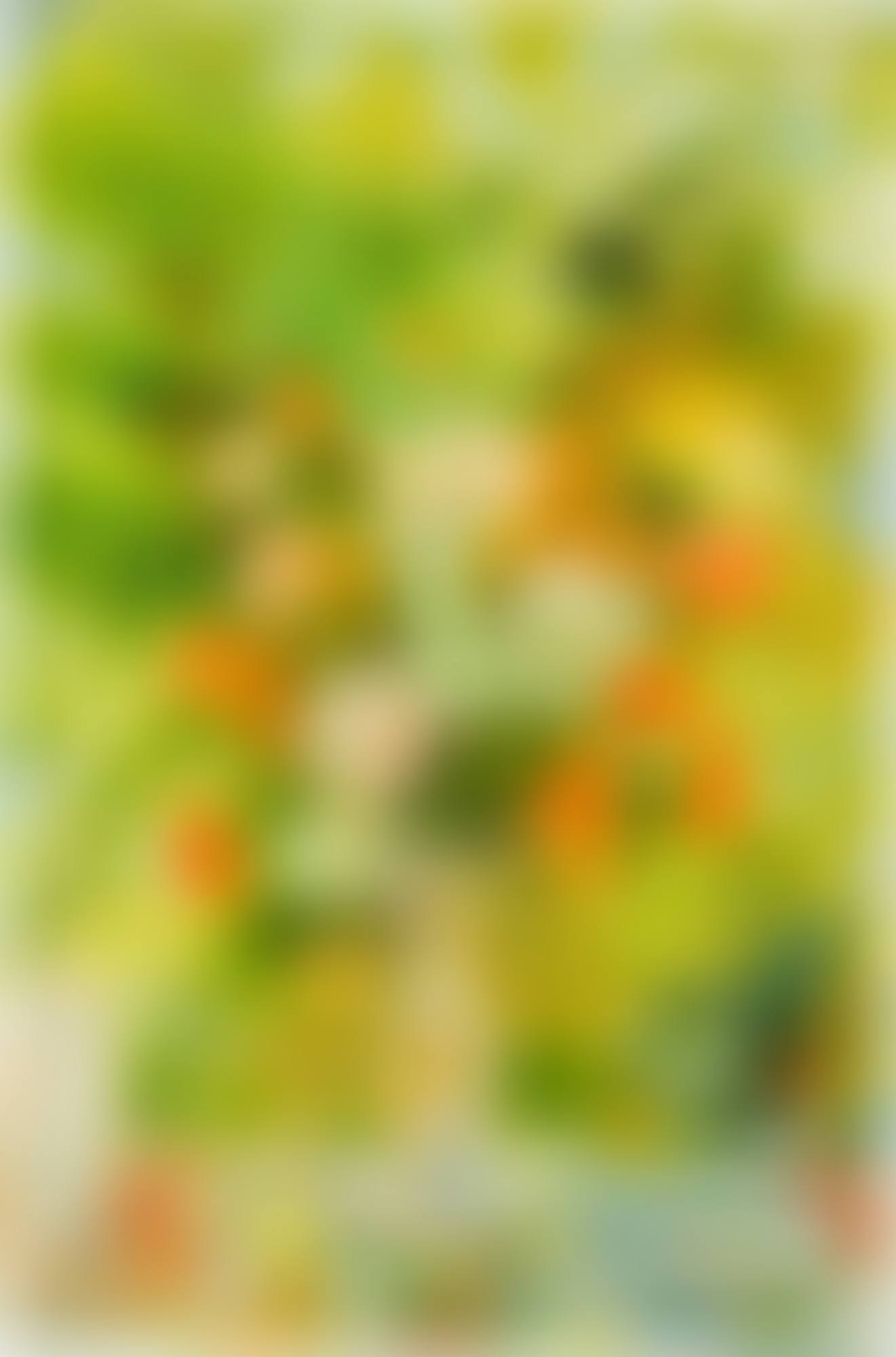 Spring banquet (preview)