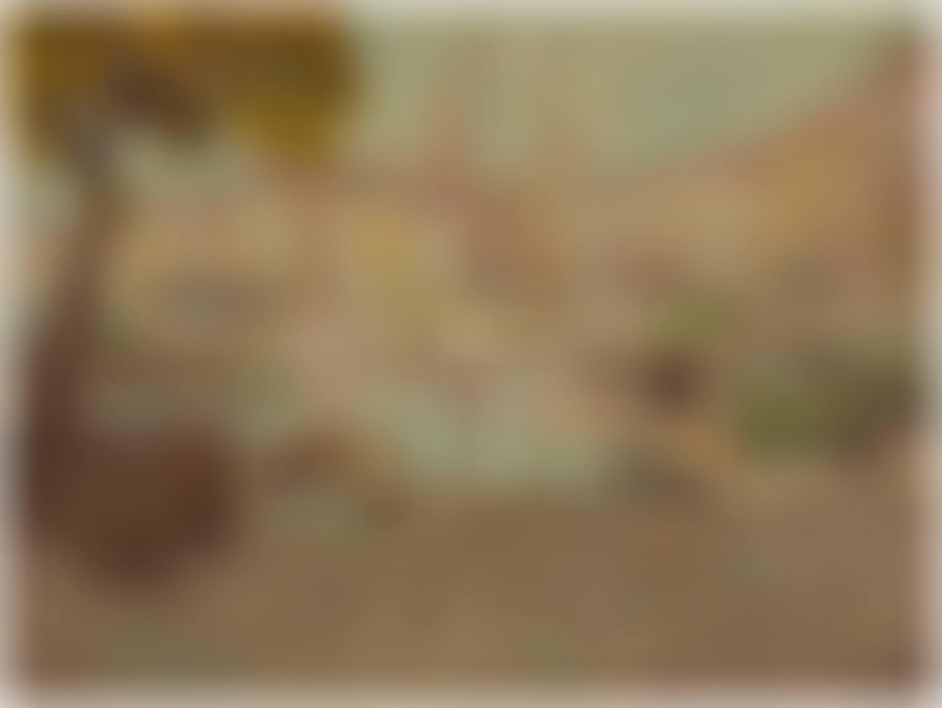 Quais a St Tropez (preview)