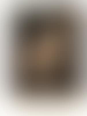 Joseph Adriaen Clarot (preview)