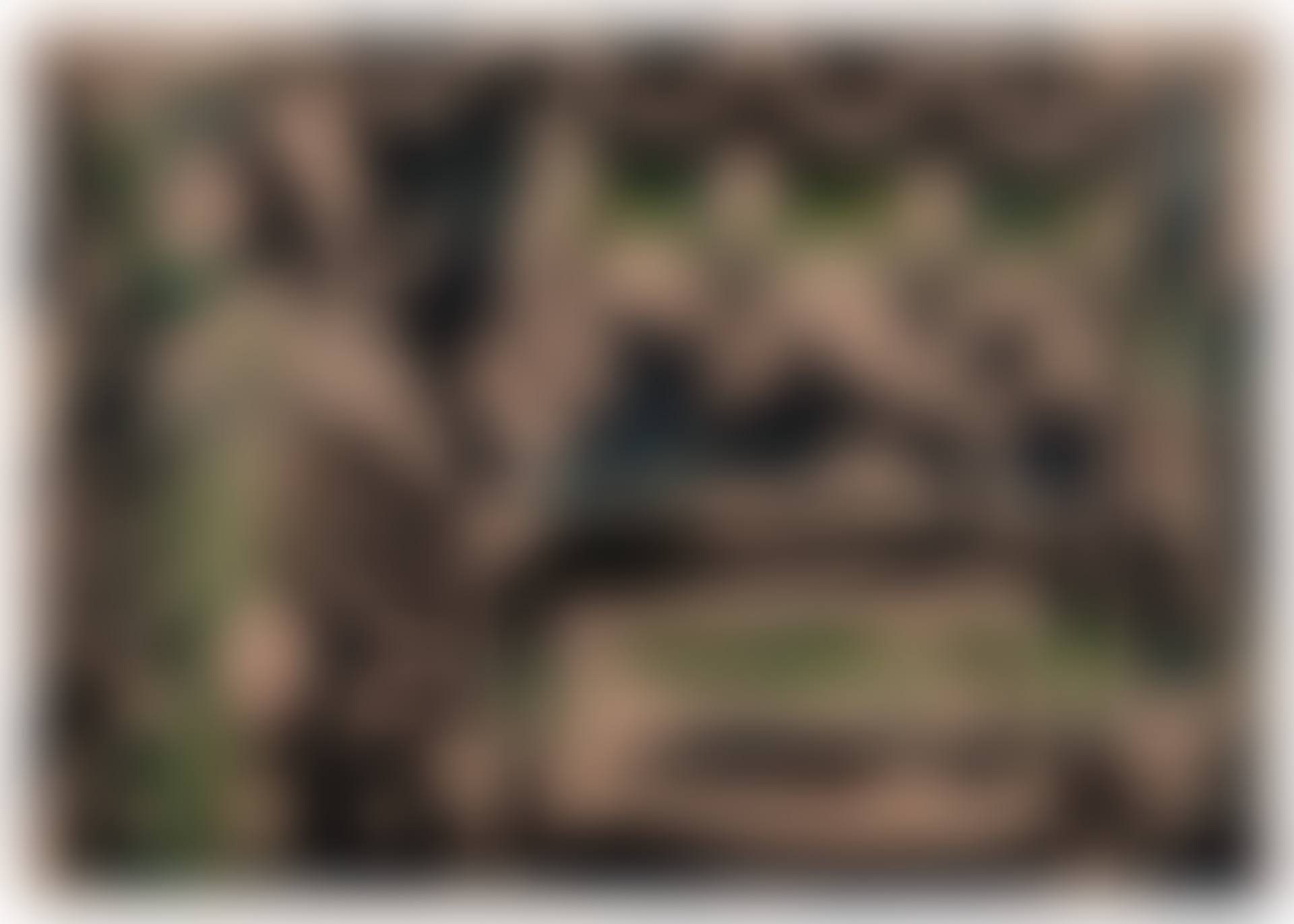 Anthology II (preview)