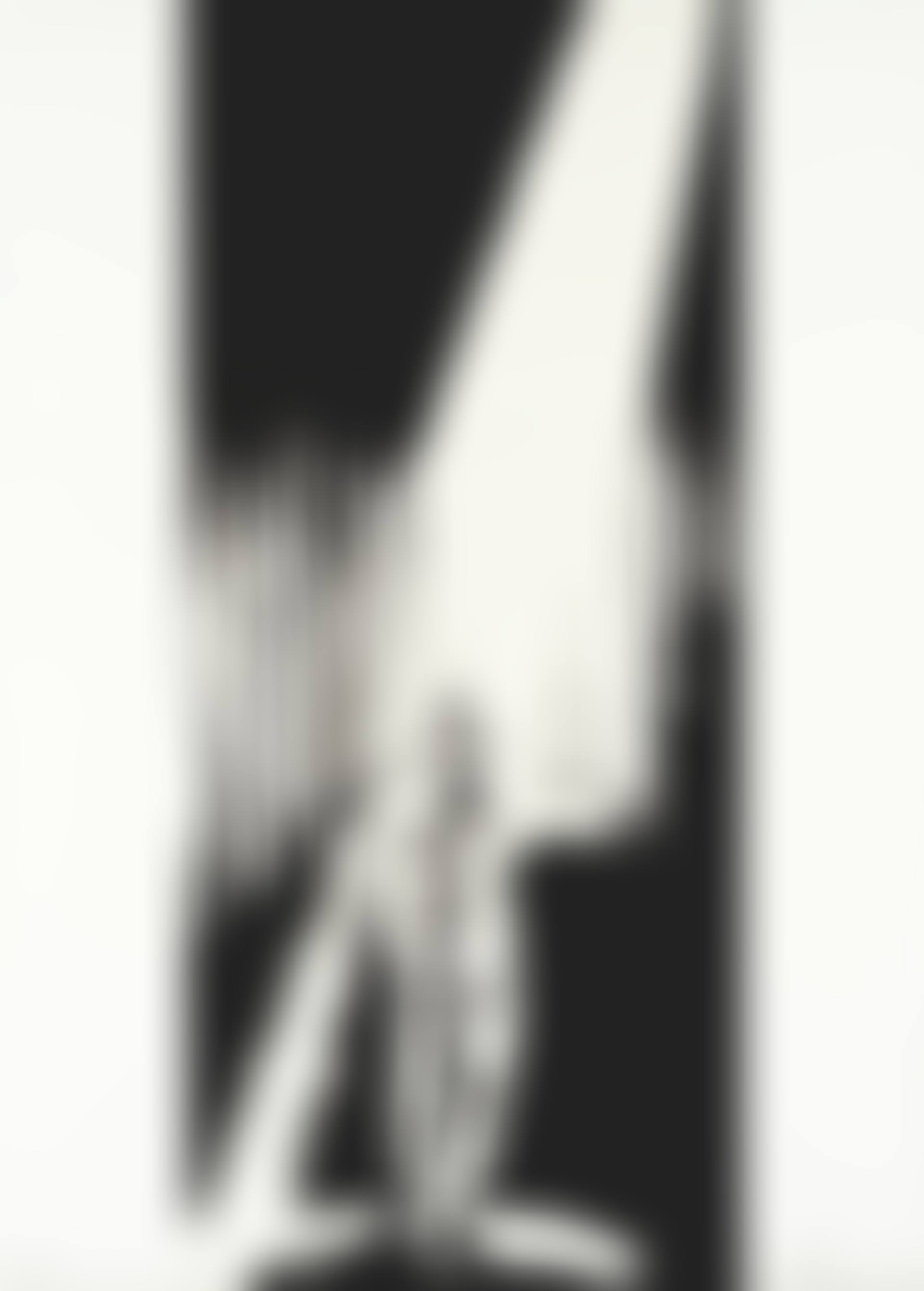The Entertainer (preview)
