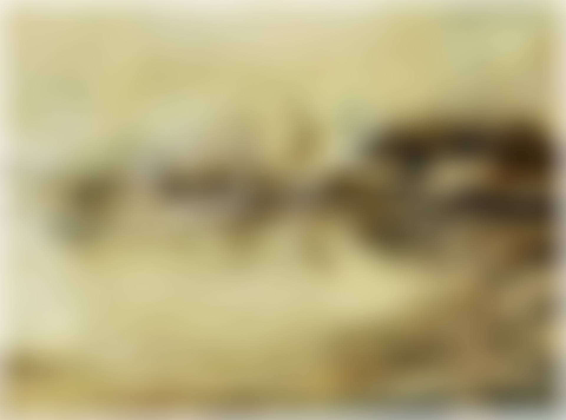03.12.67 (preview)