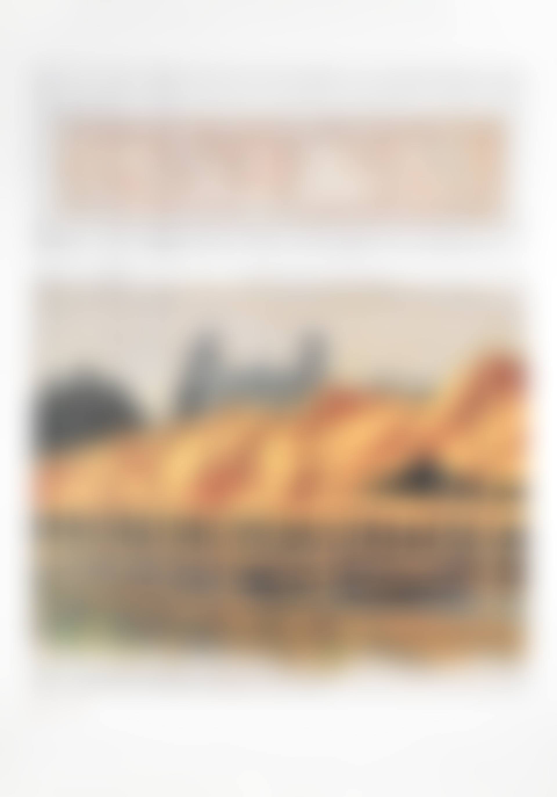 The Gates: Project for Central Park, New York City (preview)