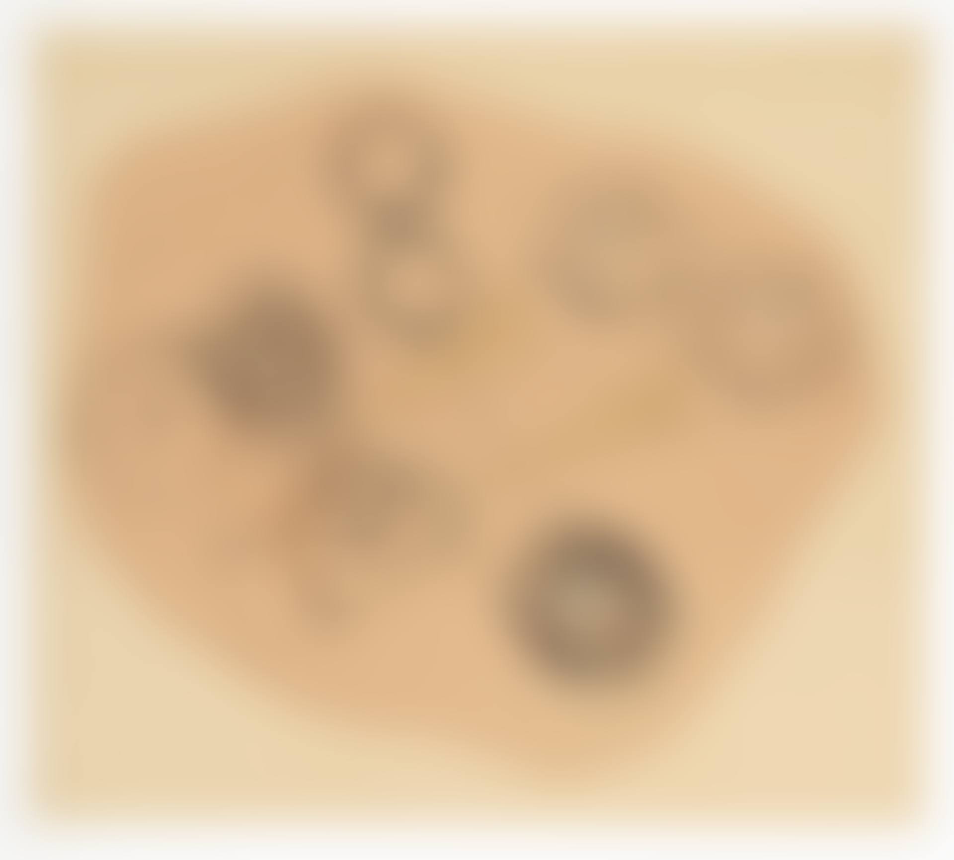 Vademekum mobile (preview)