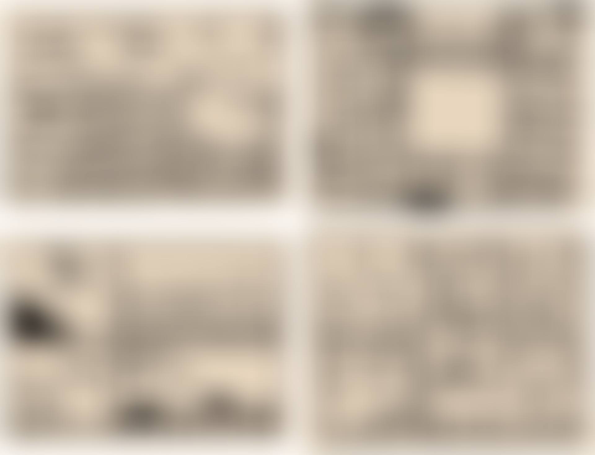 The Blueprint Drawings (L. pp. 174-183) (preview)