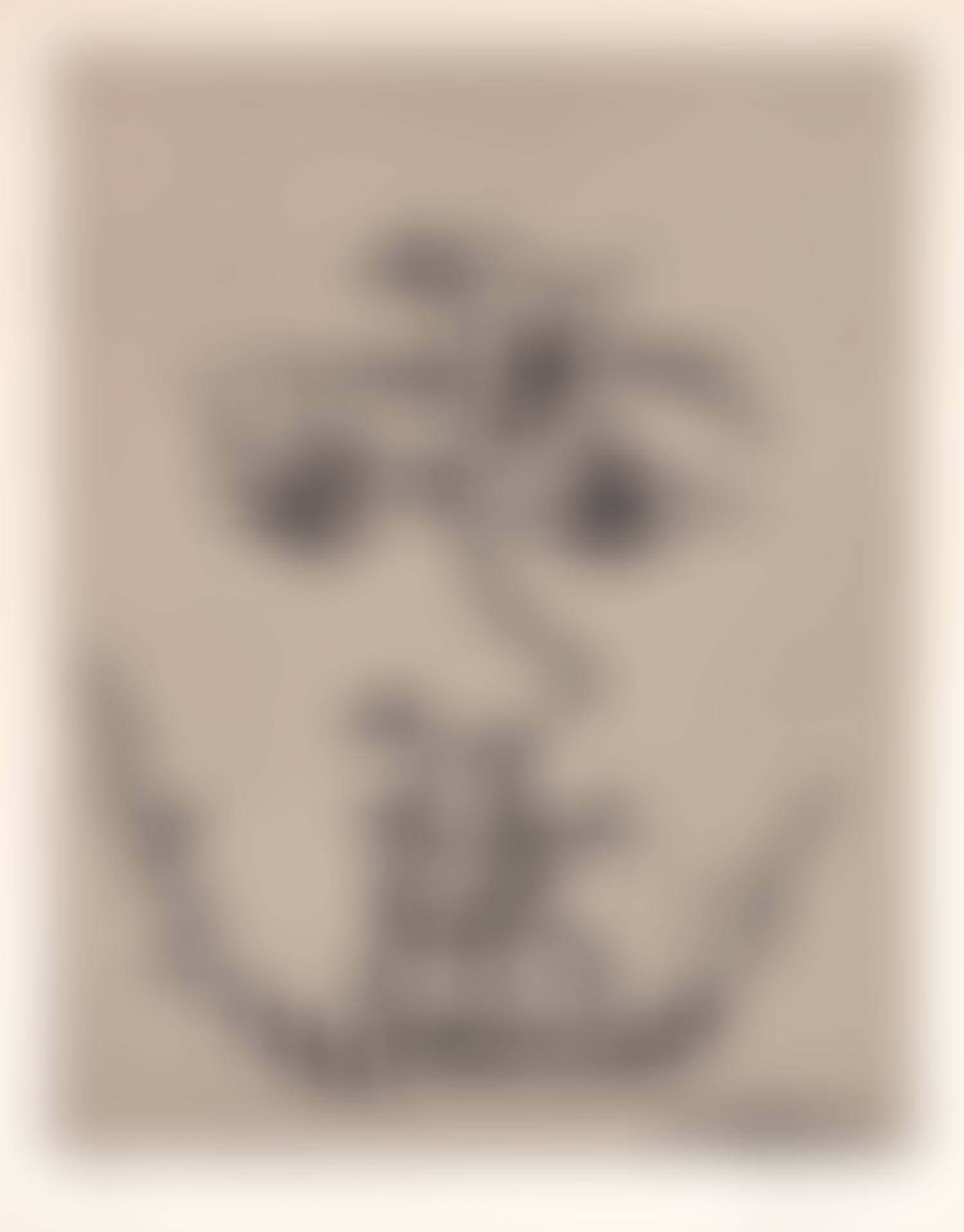 Visage (Face) (preview)