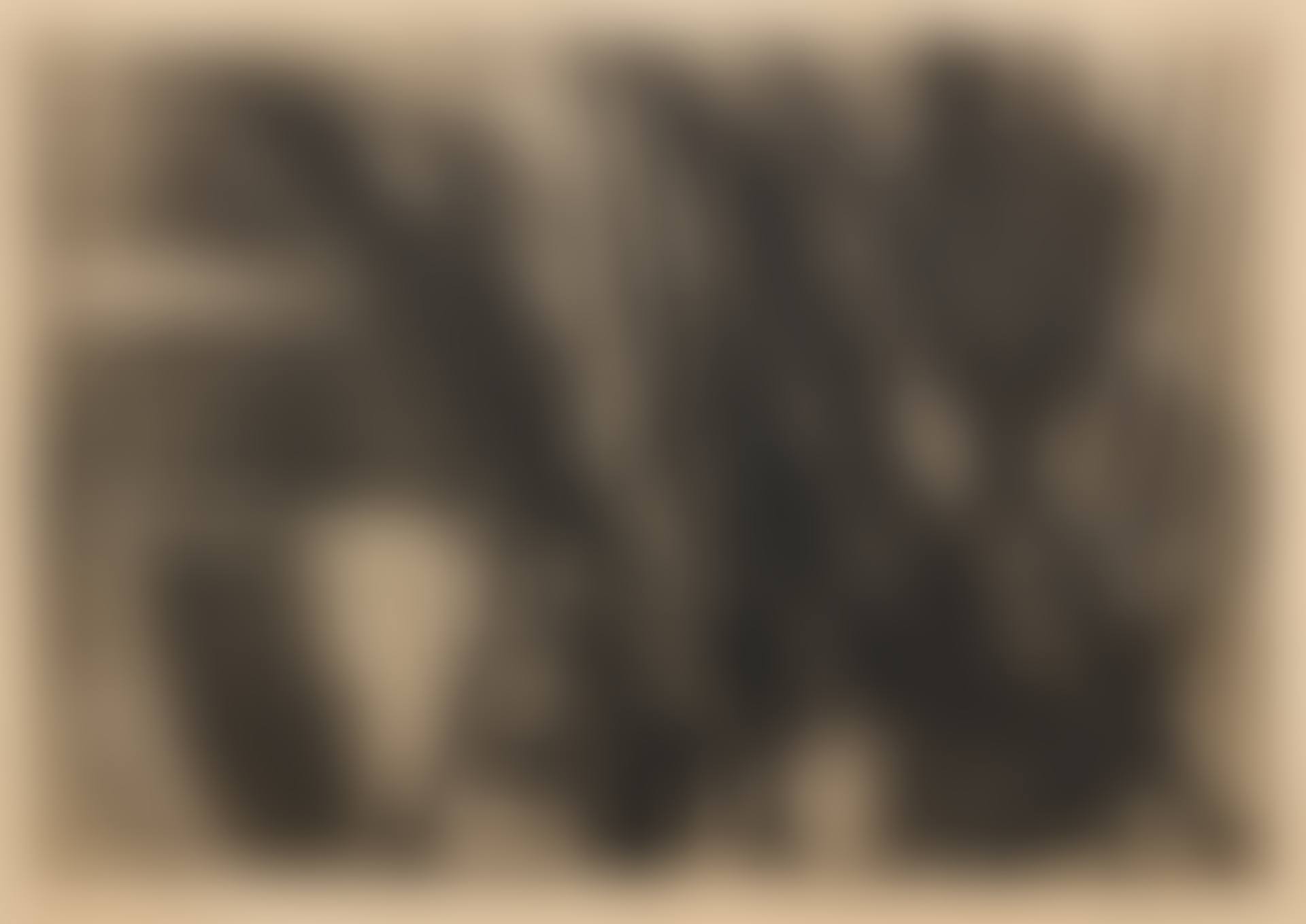 Untitled (Gravure 10) (S. 39) (preview)