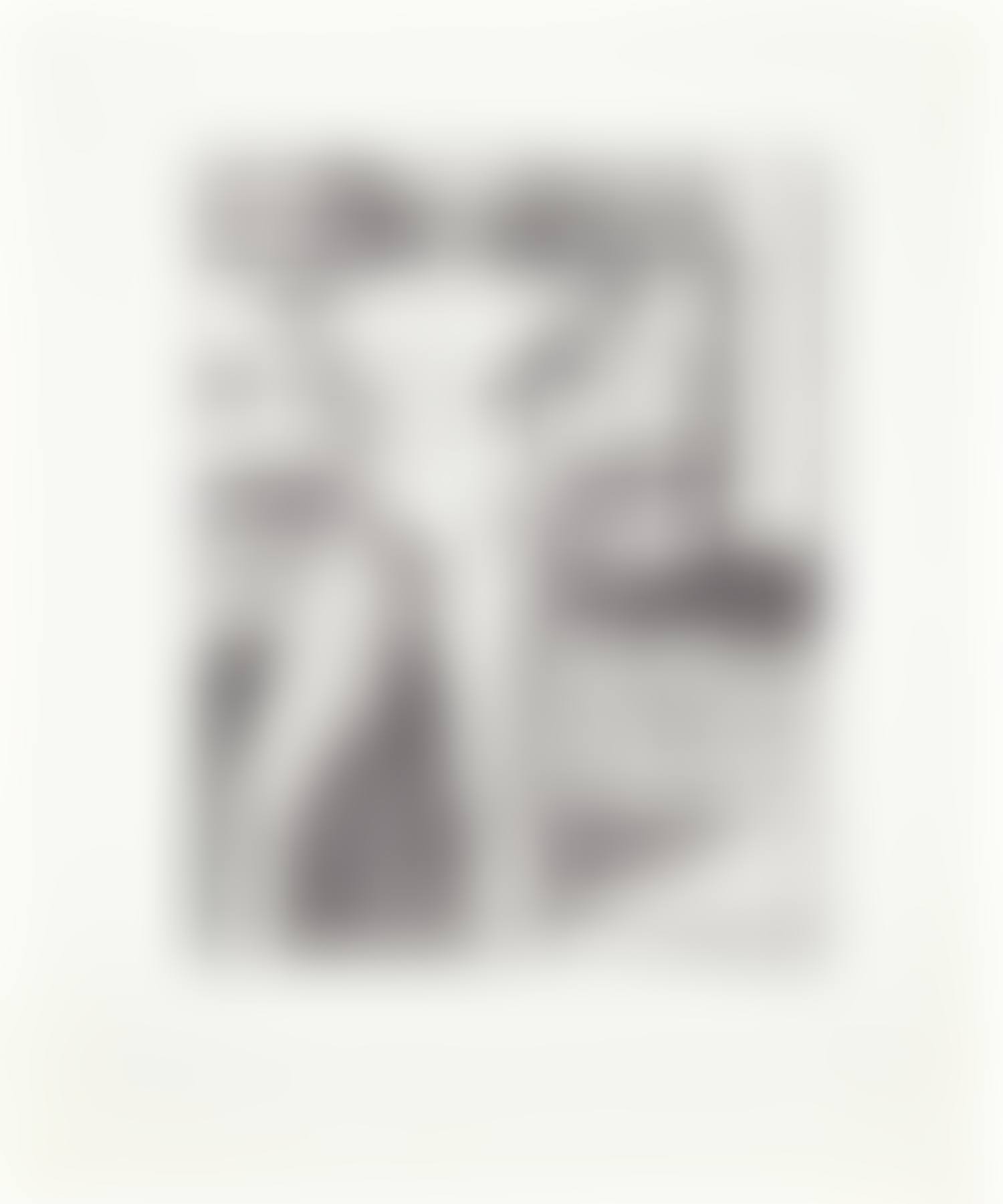 #15 (standing nude with arms on hips), from 41 Etchings Drypoints (preview)