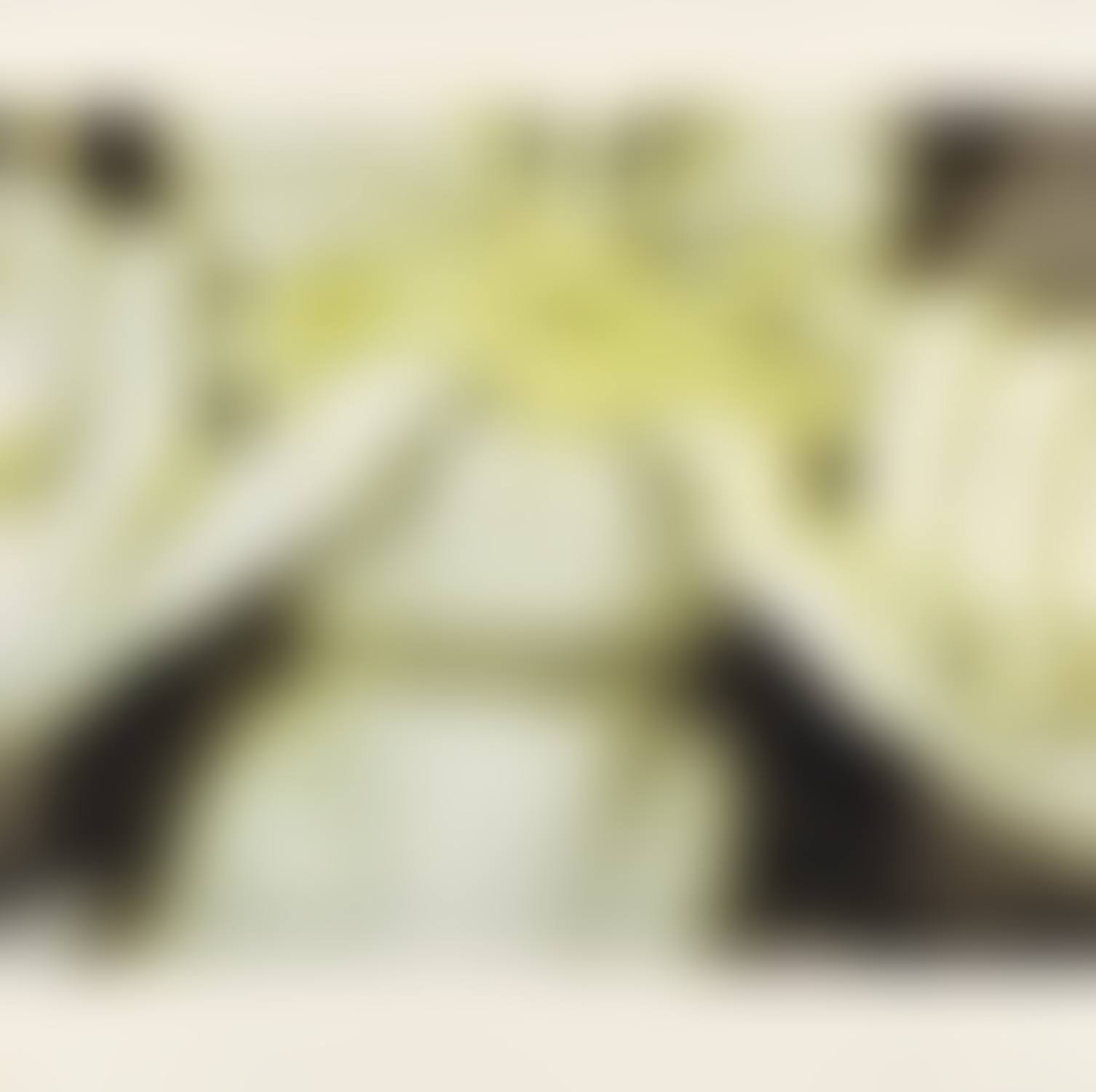 Studies for Hologram: plate 1 (C. 1) (preview)