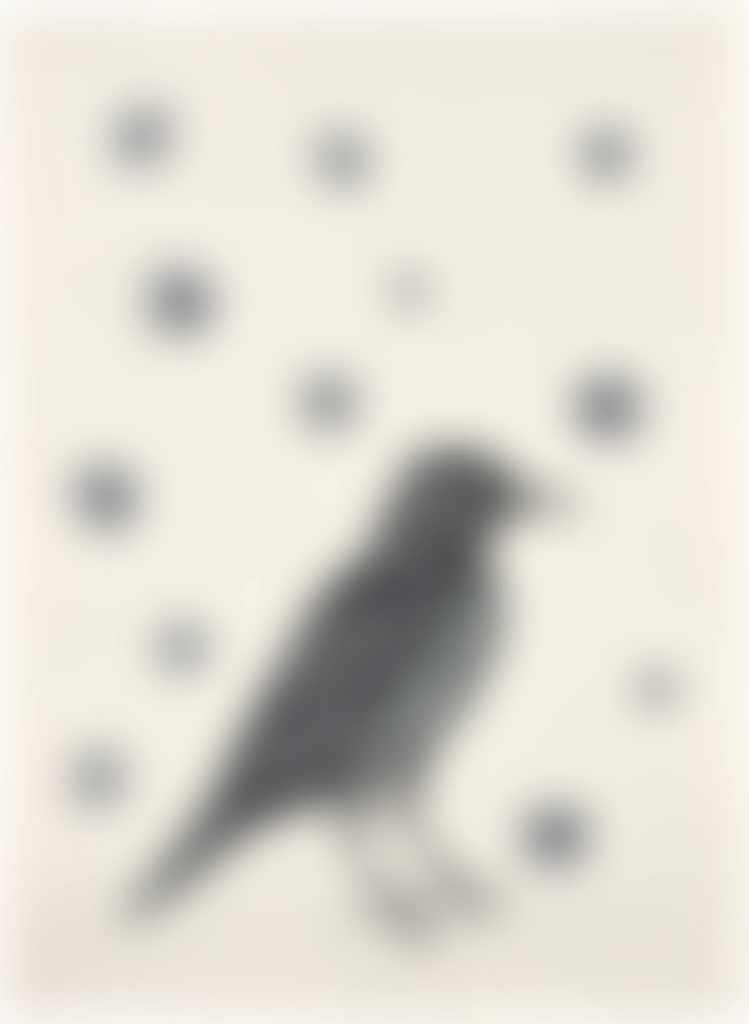 Bird with Stars (preview)
