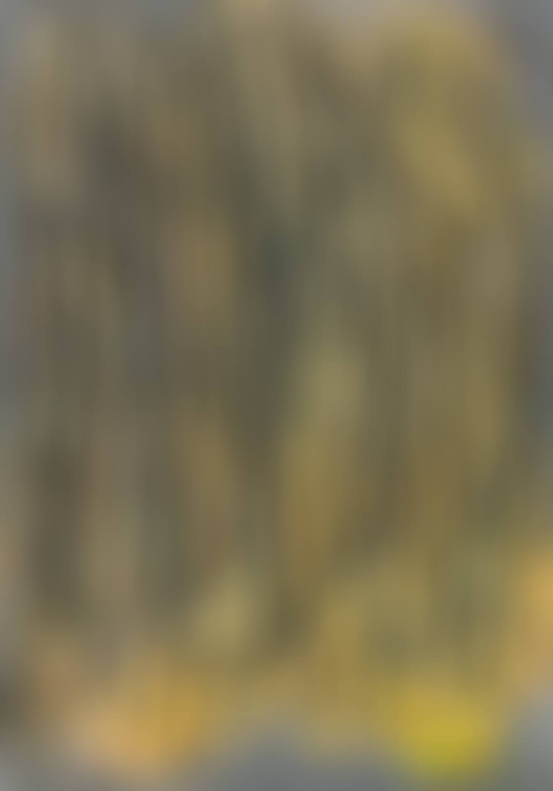 Bodyscape 76-1-2017 (preview)