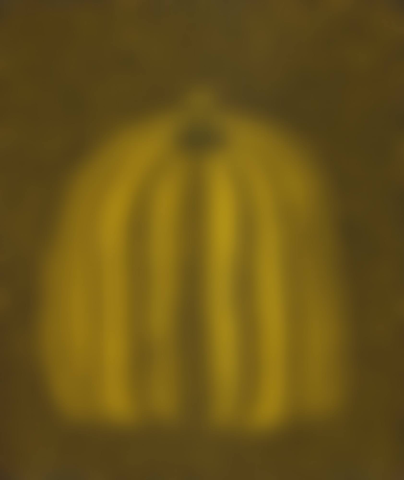 Pumpkin (preview)