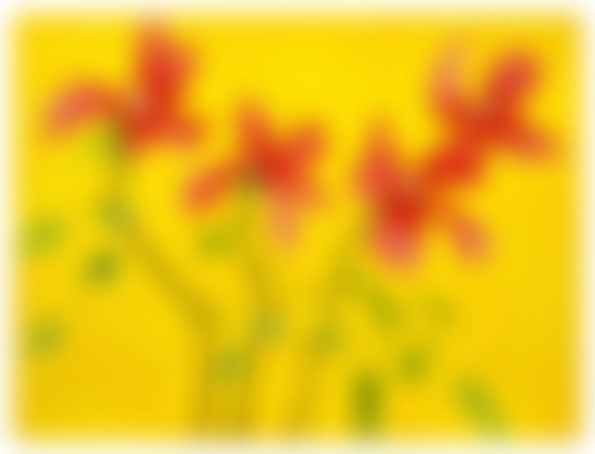 Red Dogwood I (preview)
