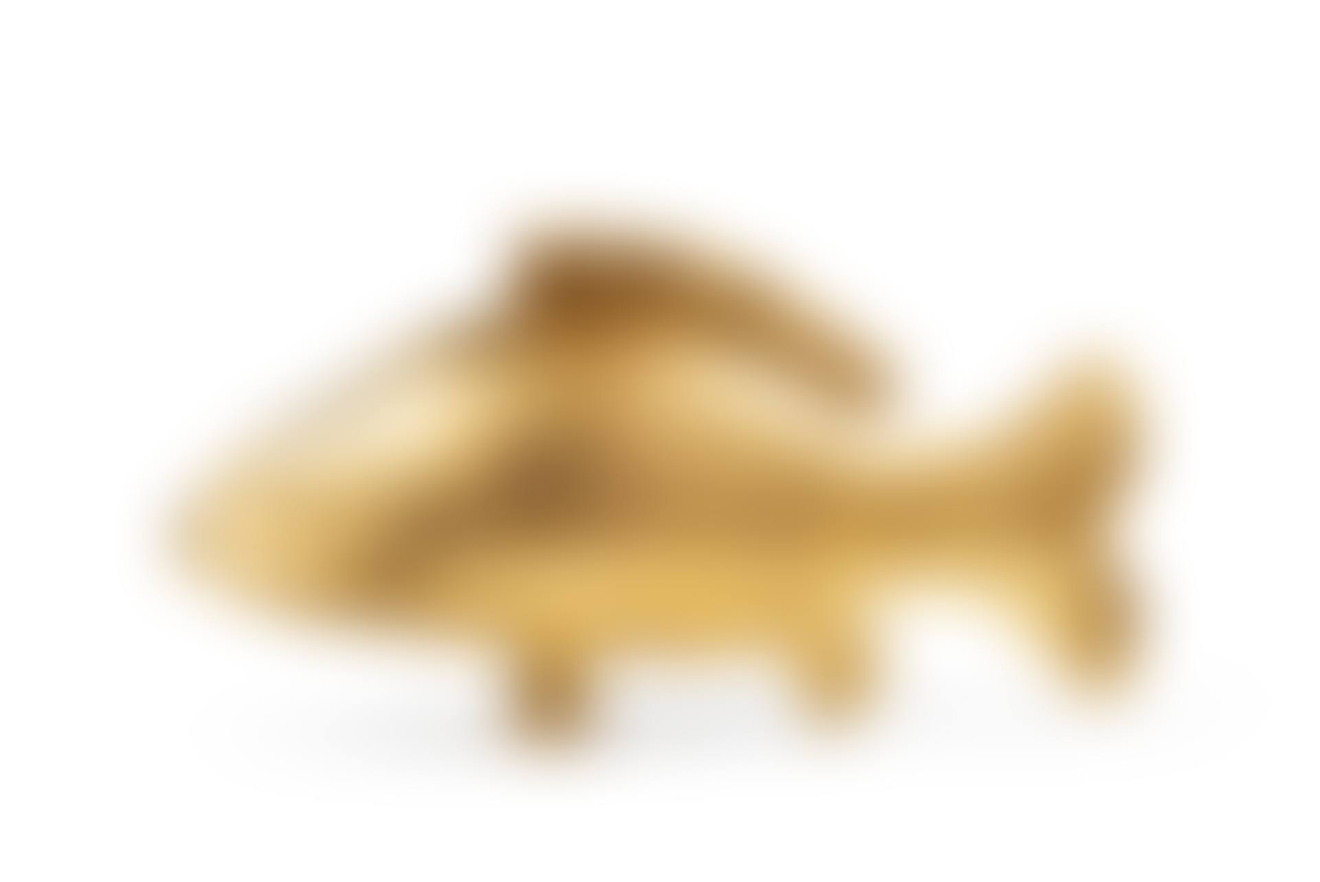 Carpe d'or (preview)