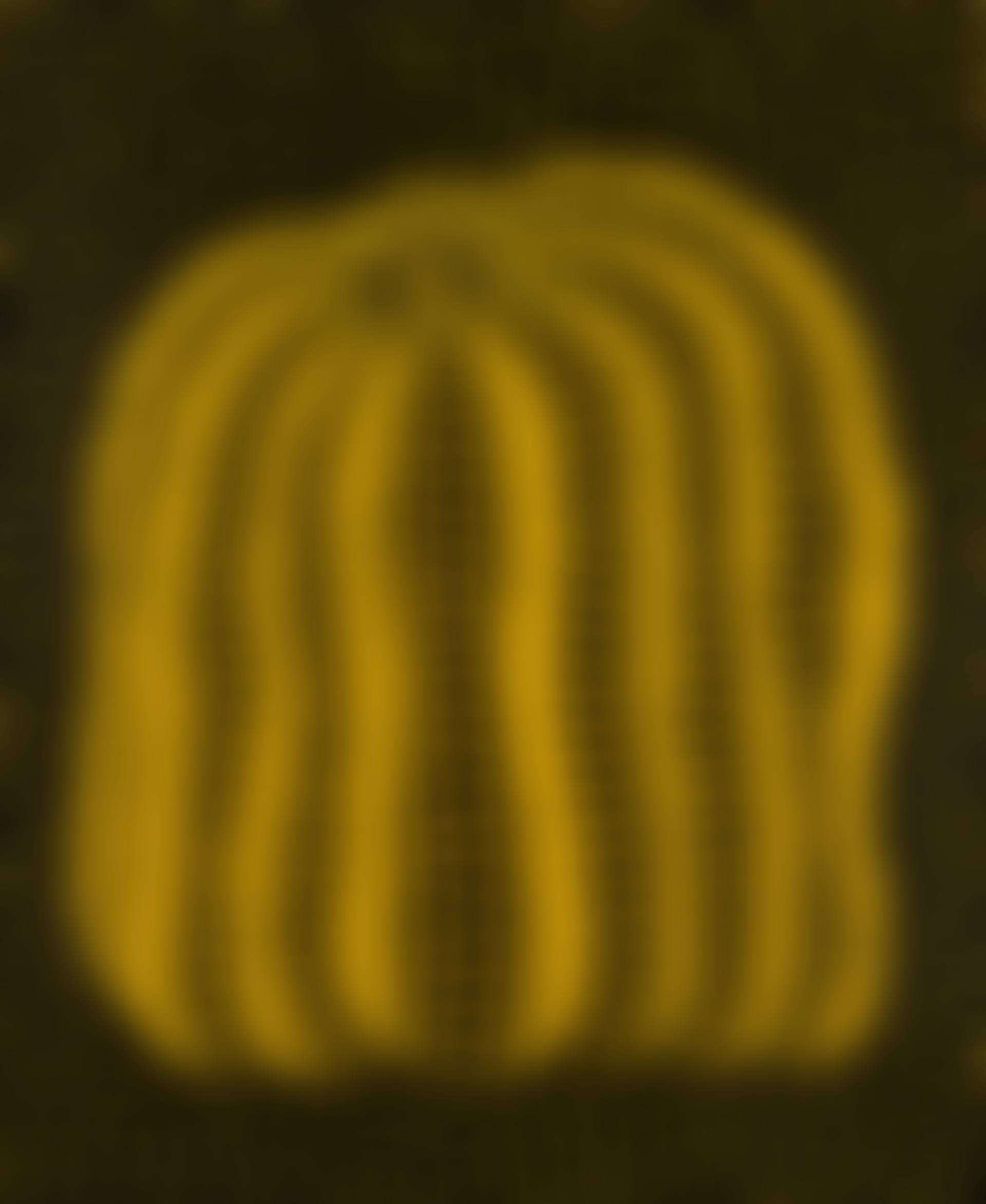 A Pumpkin (T) (preview)