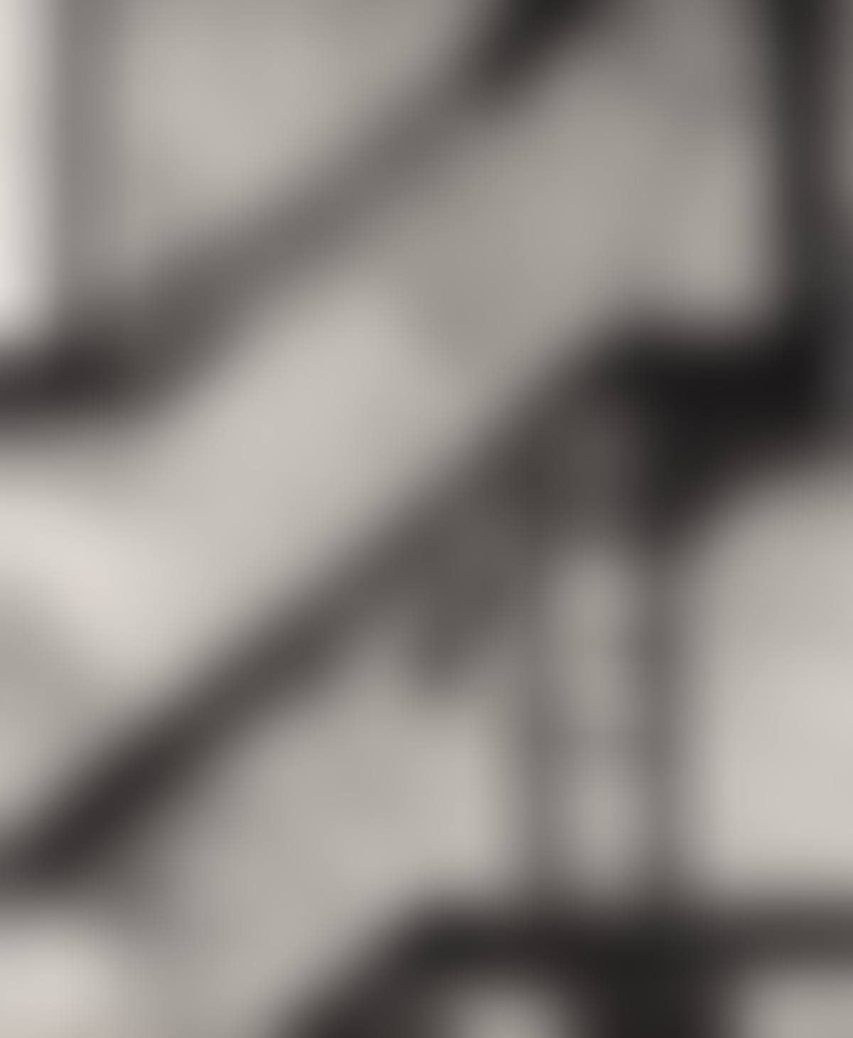 Landing Pigeon (preview)